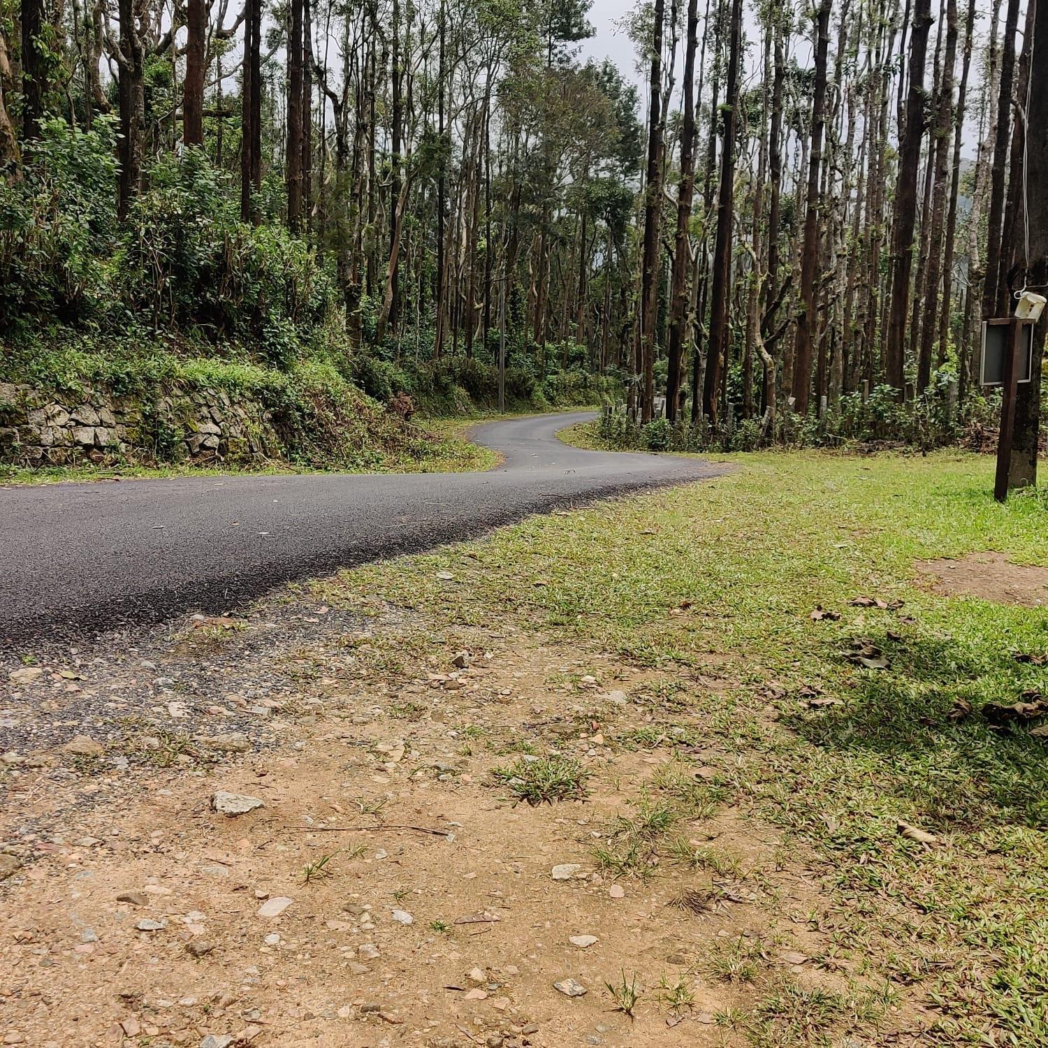 The Sattva Nature Retreat view 2