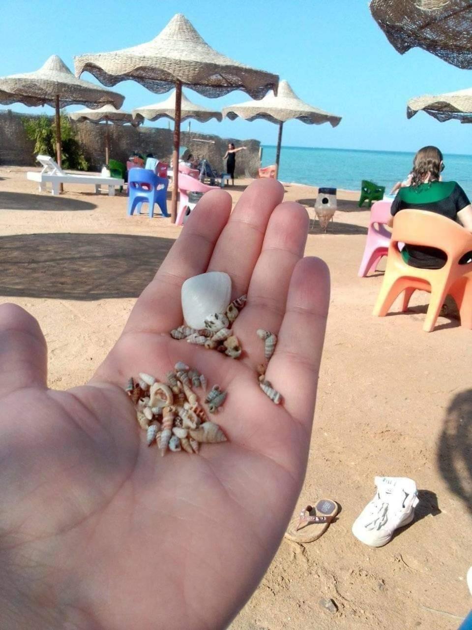 casablanca red sea