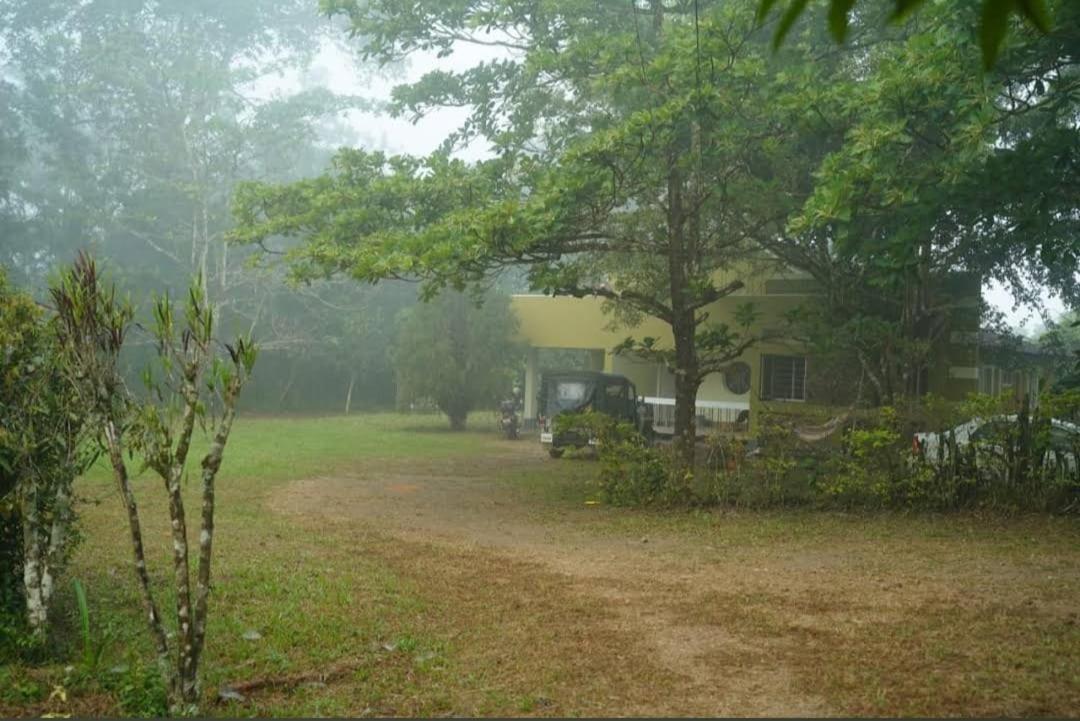 Verdure Labosque Bungalow view 3