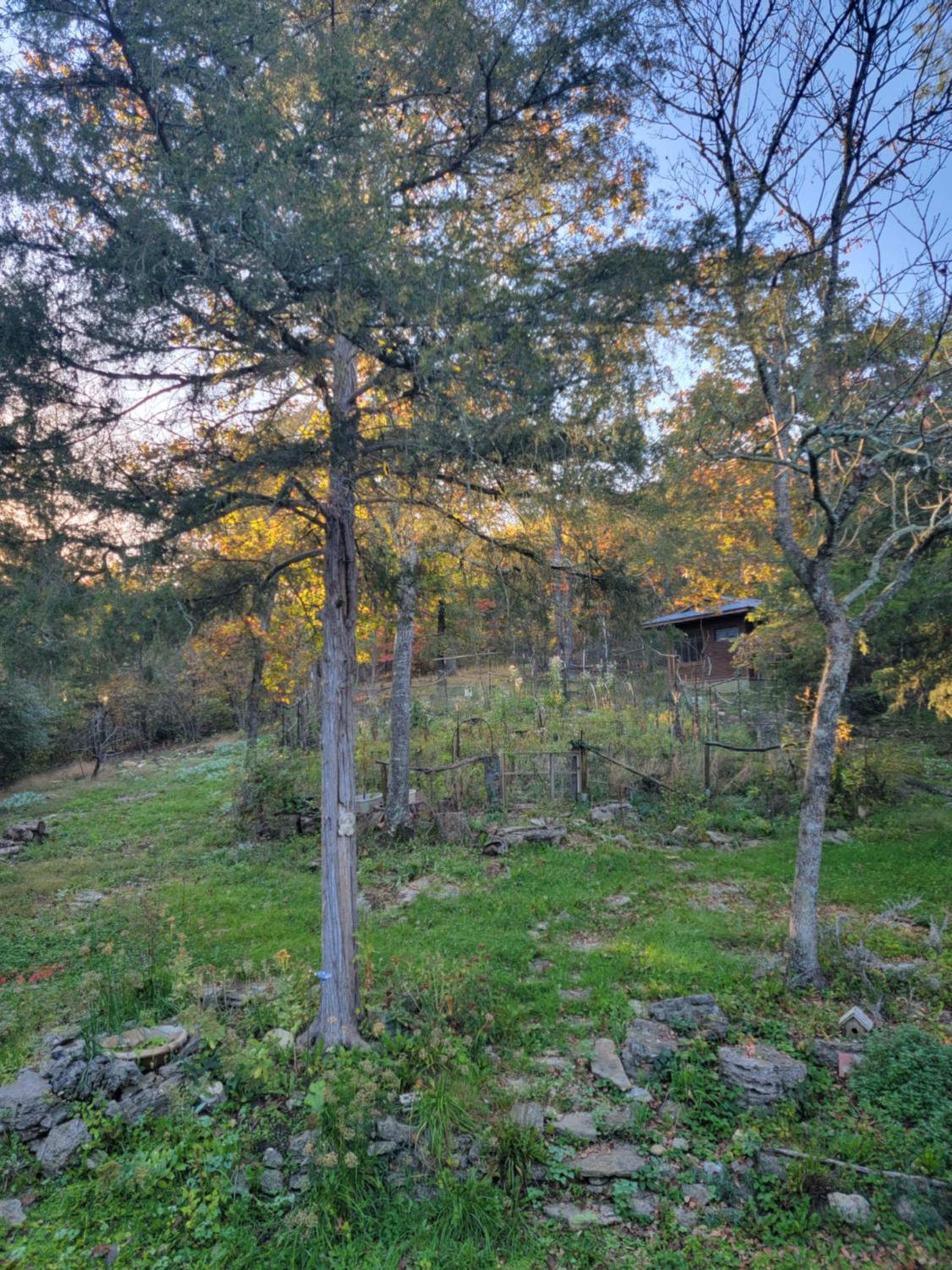 Private Forest Escape 7 Min to Downtown