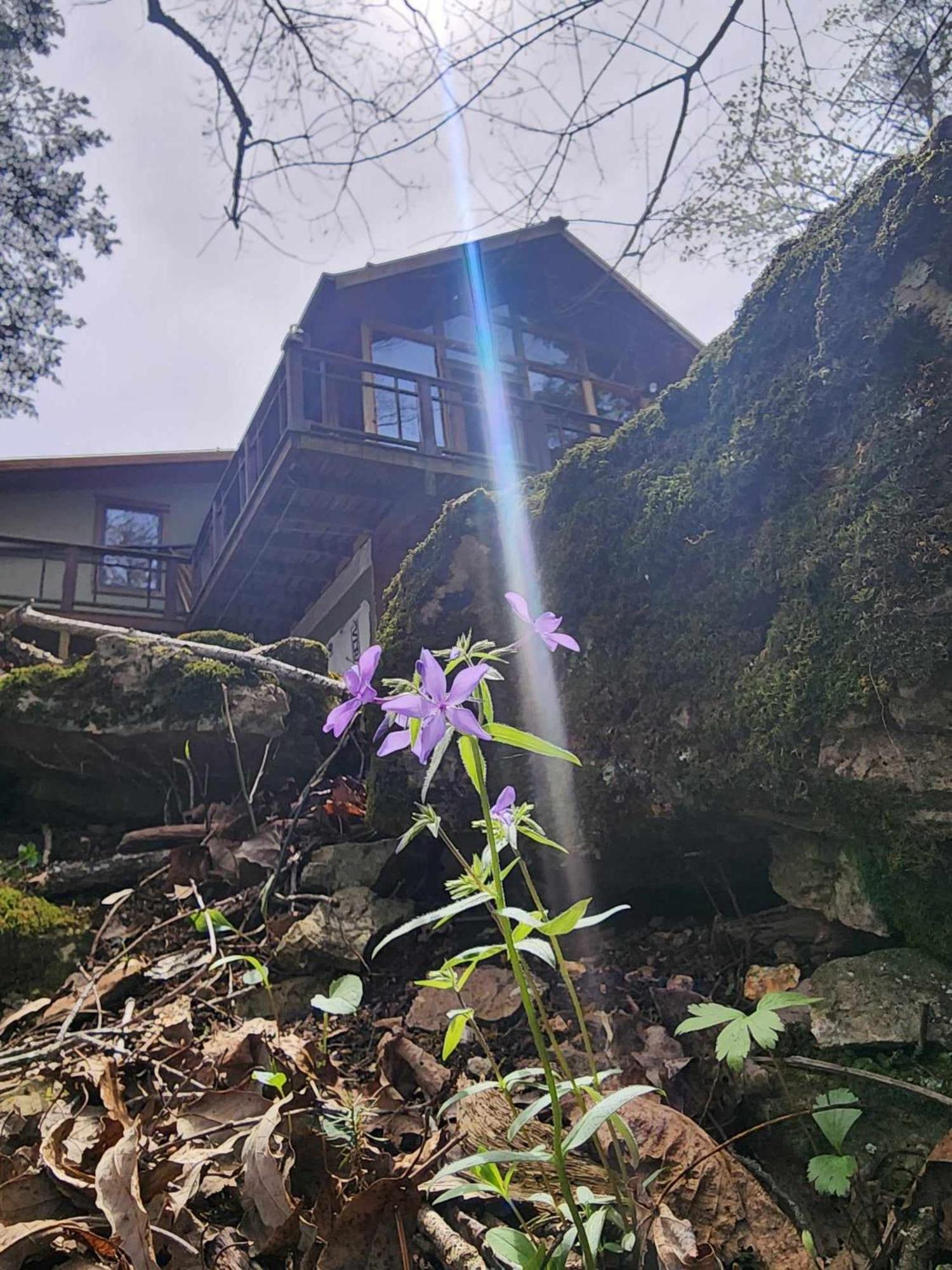 Private Forest Escape 7 Min to Downtown