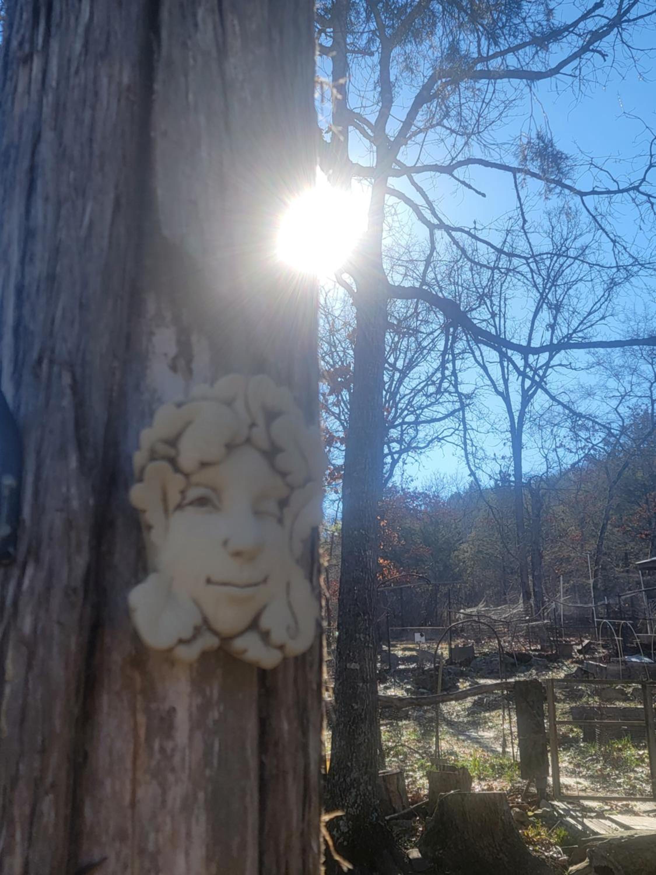 Private Forest Escape 7 Min to Downtown