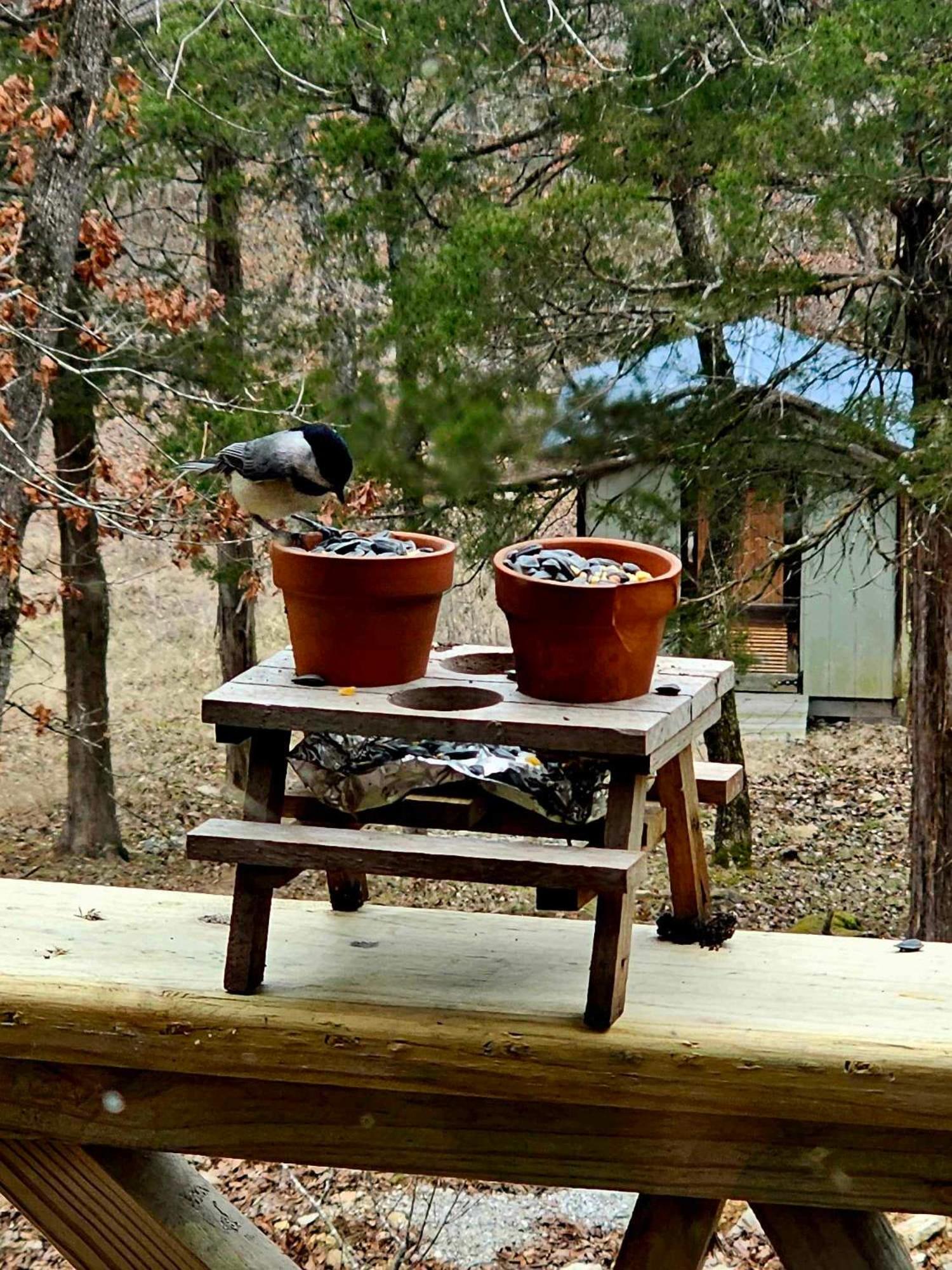 Private Forest Escape 7 Min to Downtown