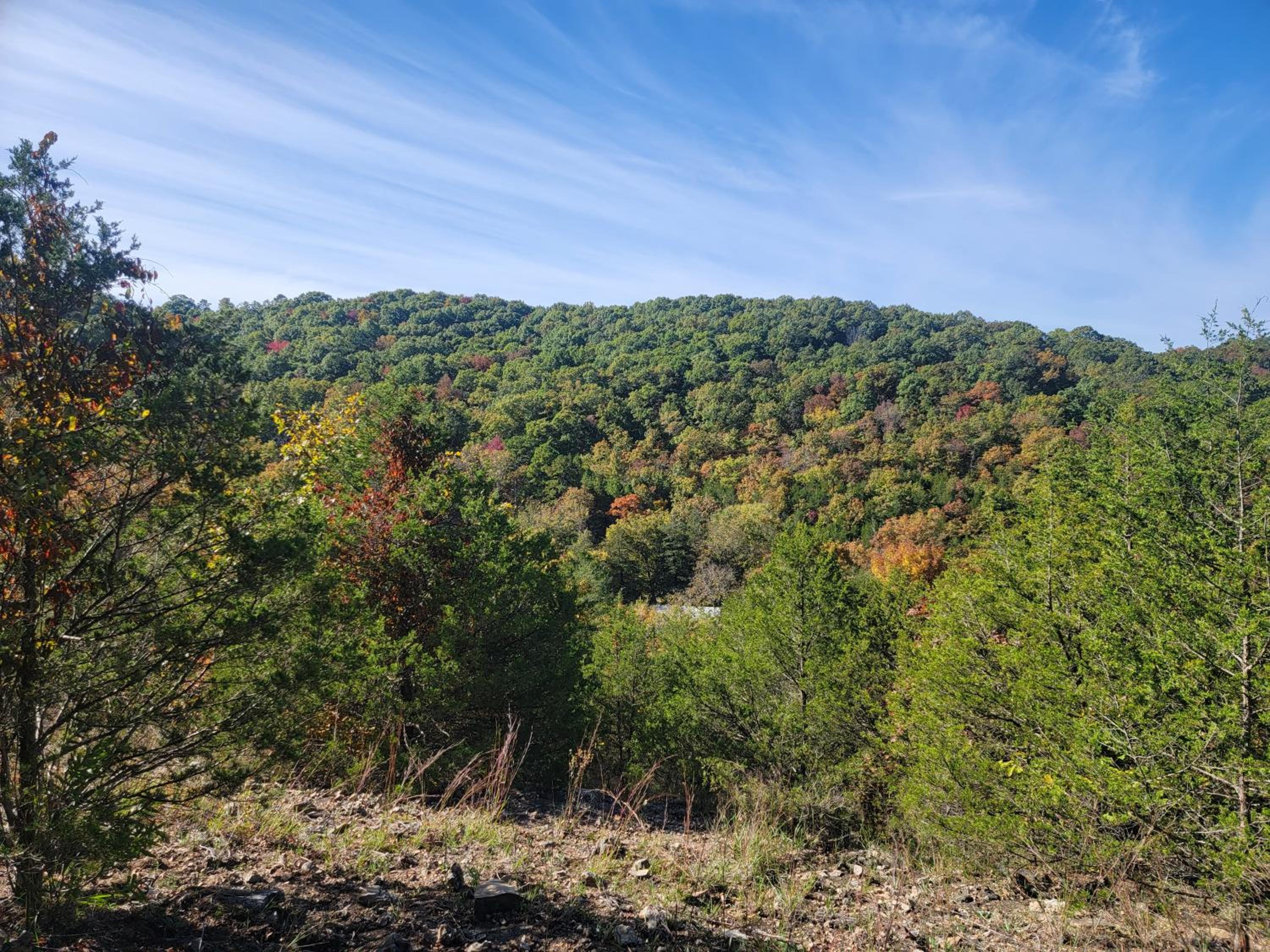 Private Forest Escape 7 Min to Downtown