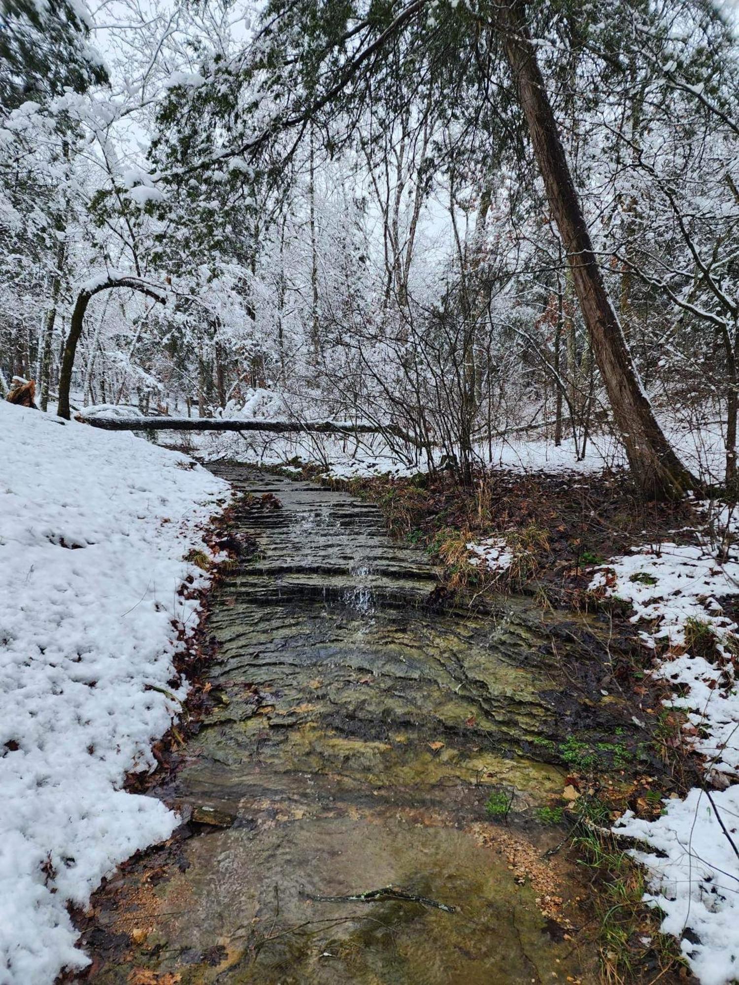 Private Forest Escape 7 Min to Downtown