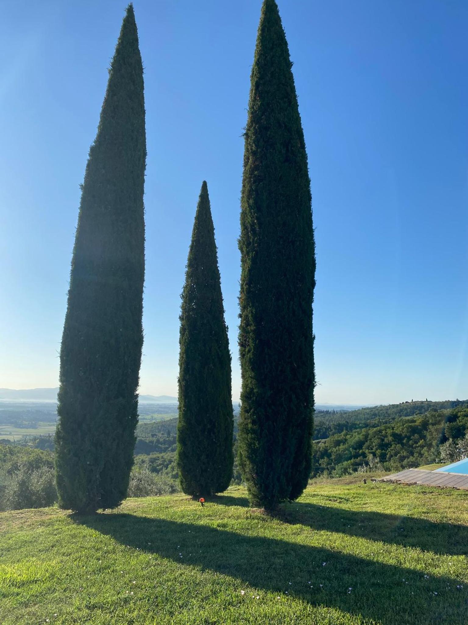 Podere Cavalbianco