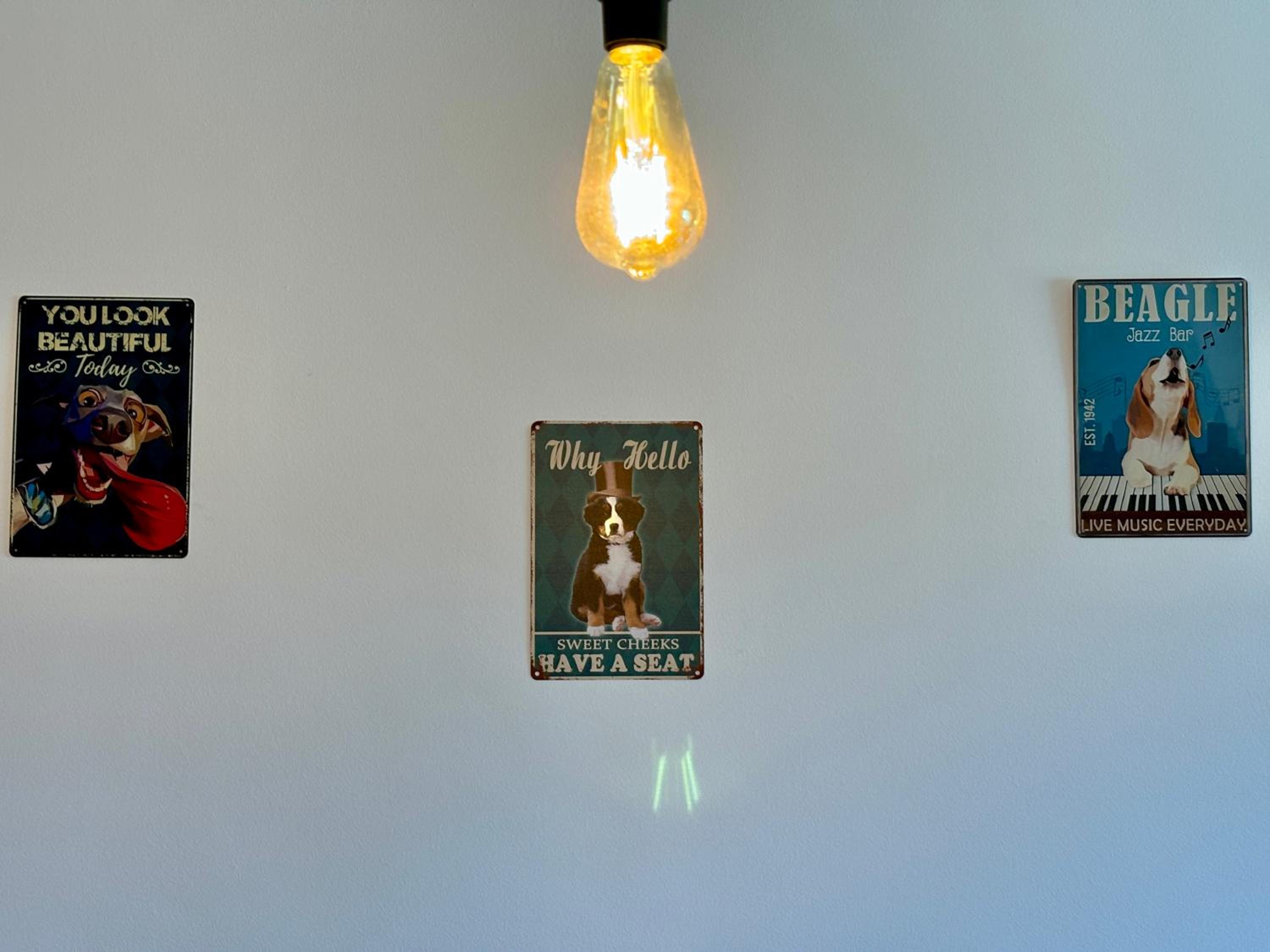 Apartamentos Plus Costa Brava Pals