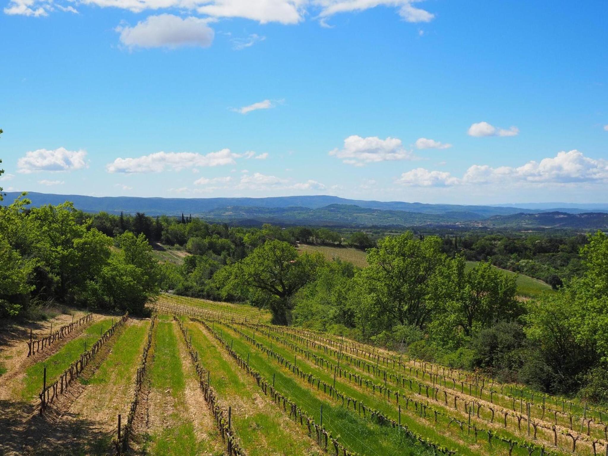 Holiday Home in Provence near Mont Ventoux