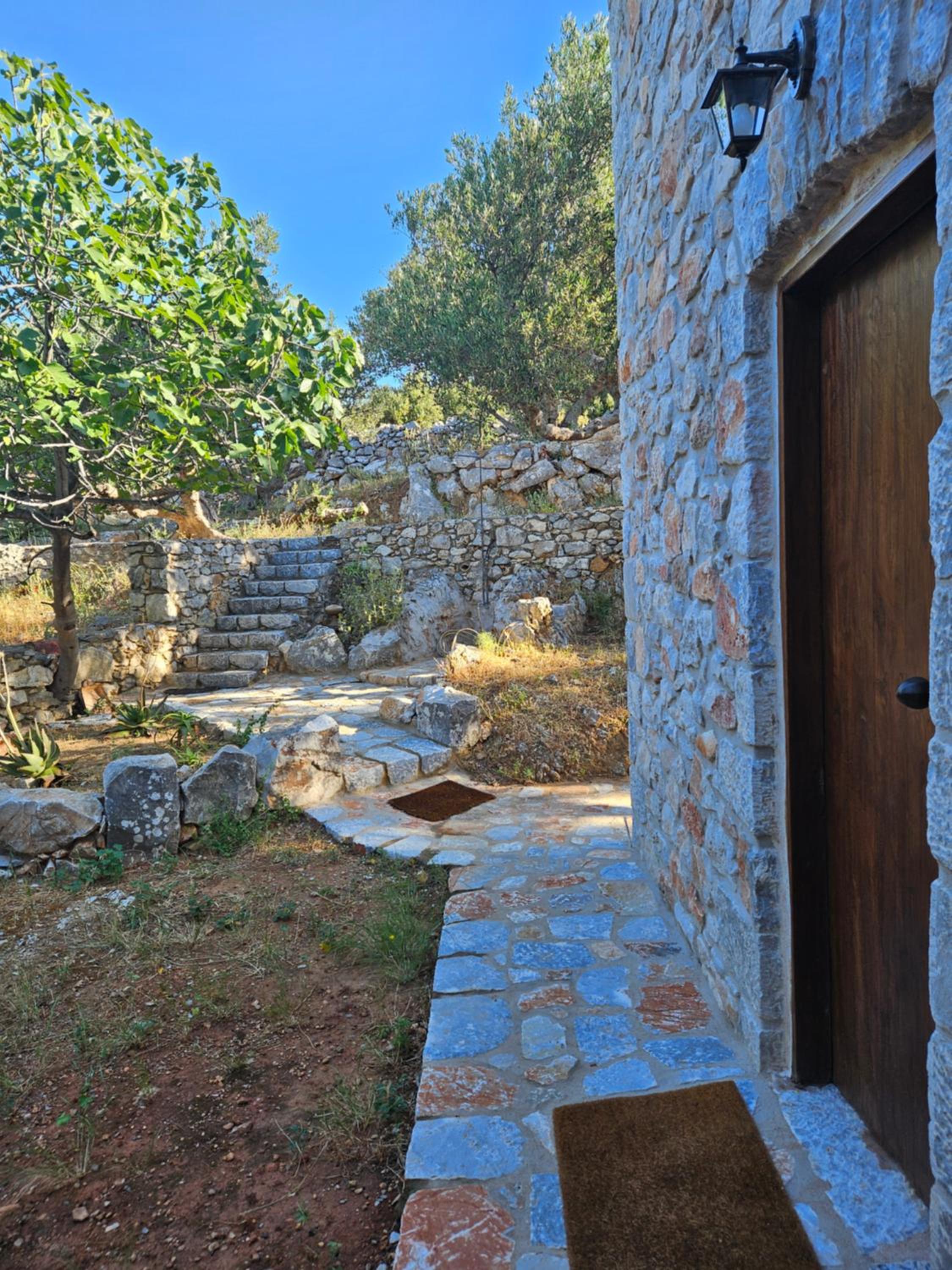 Studio Tsiliviani