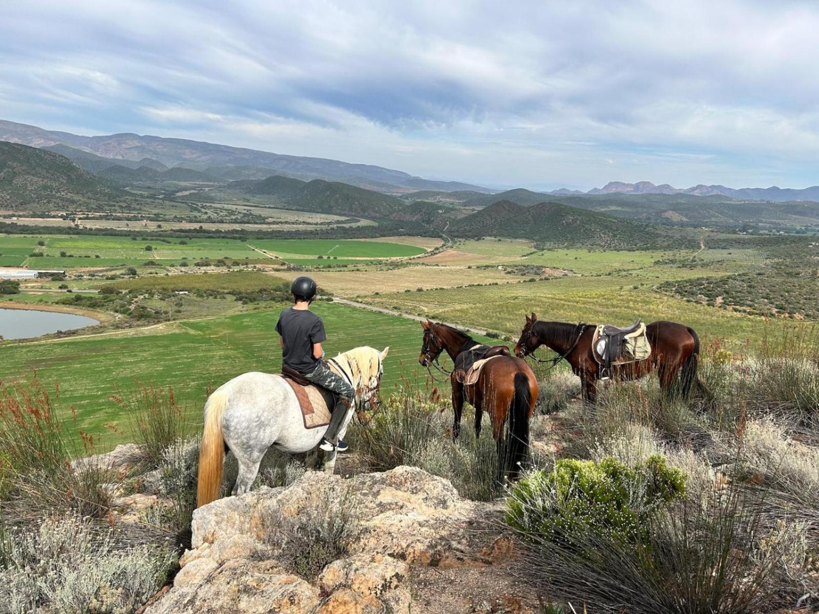 Doornkraal Farm view 3
