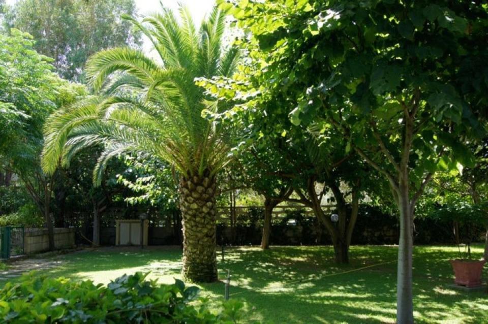 praialinda