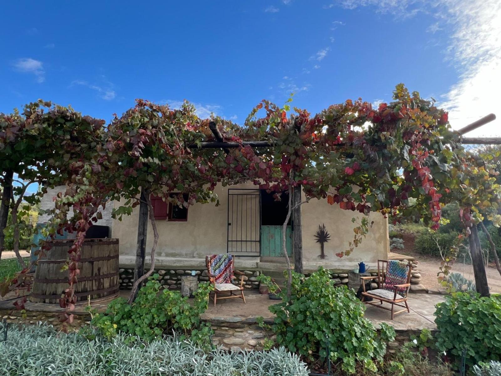Doornkraal Farm view 4