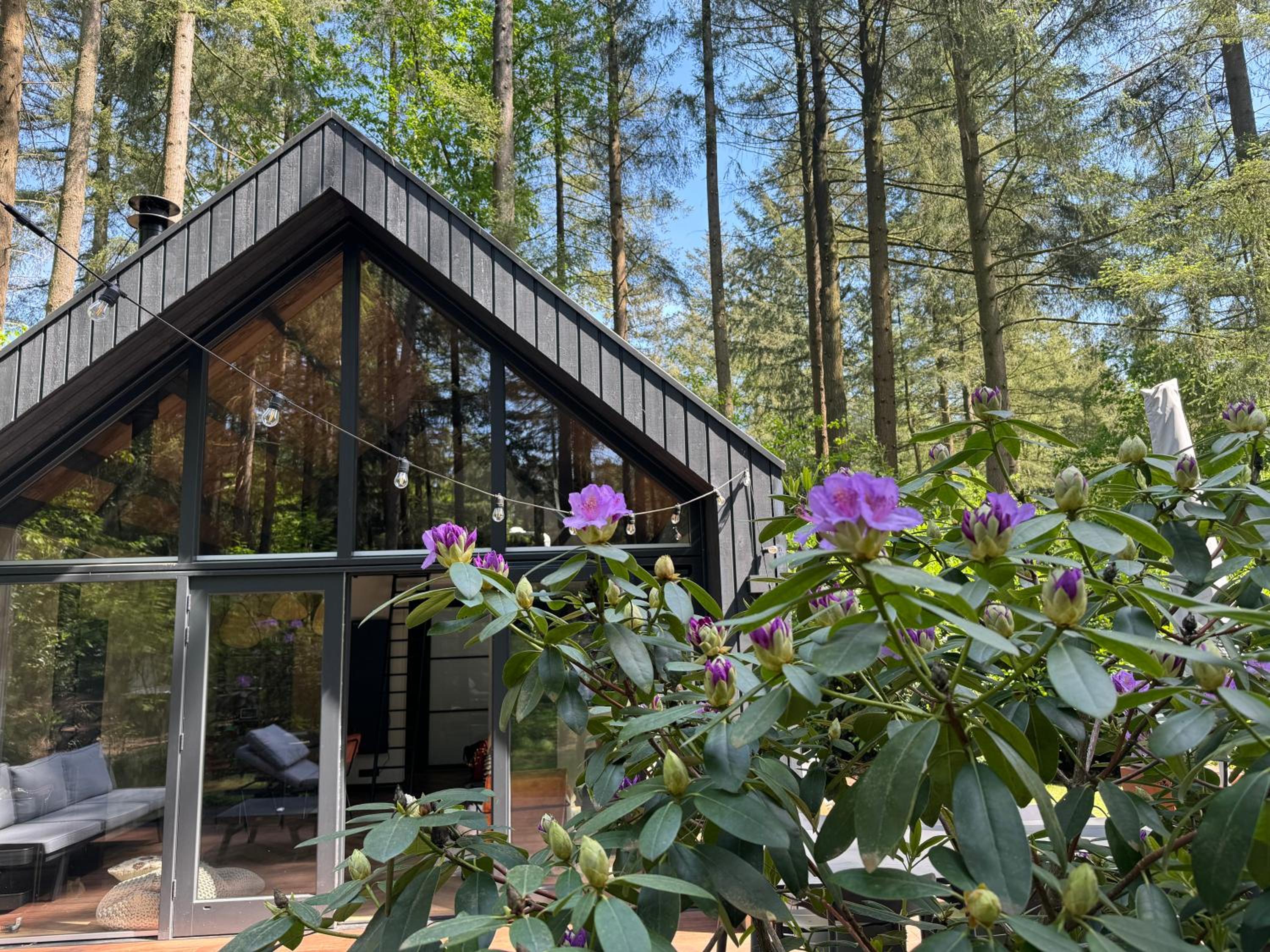 Fantastisch luxe boshuis I Onthaasten in de natuur view 5