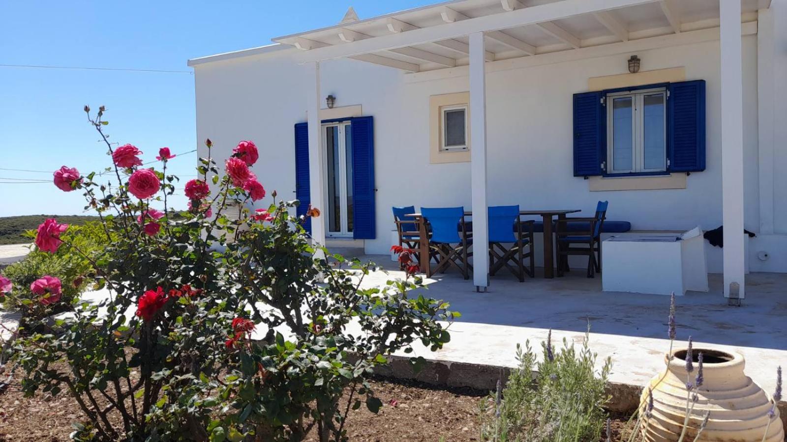 Tsipouras House