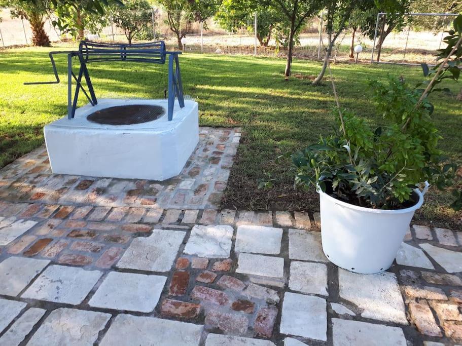 The Ranch of Ancient Ilida