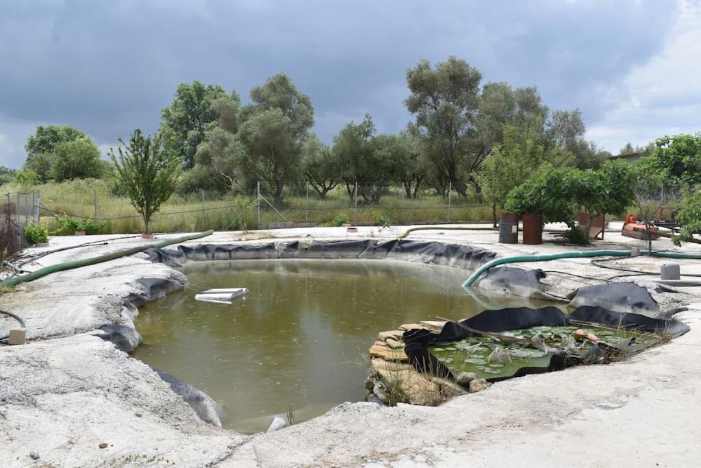 The Ranch of Ancient Ilida