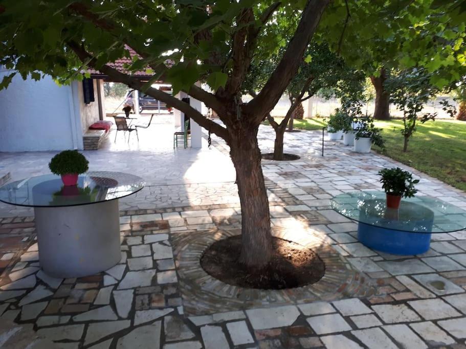 The Ranch of Ancient Ilida