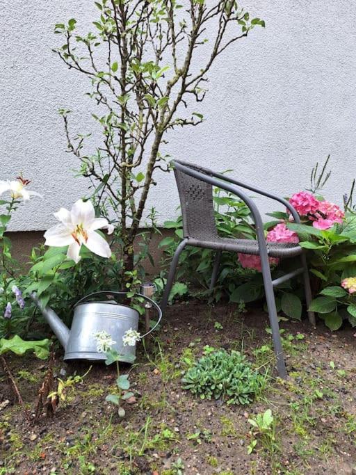 Gästewohnung Kleinstadtperle in Pritzwalk