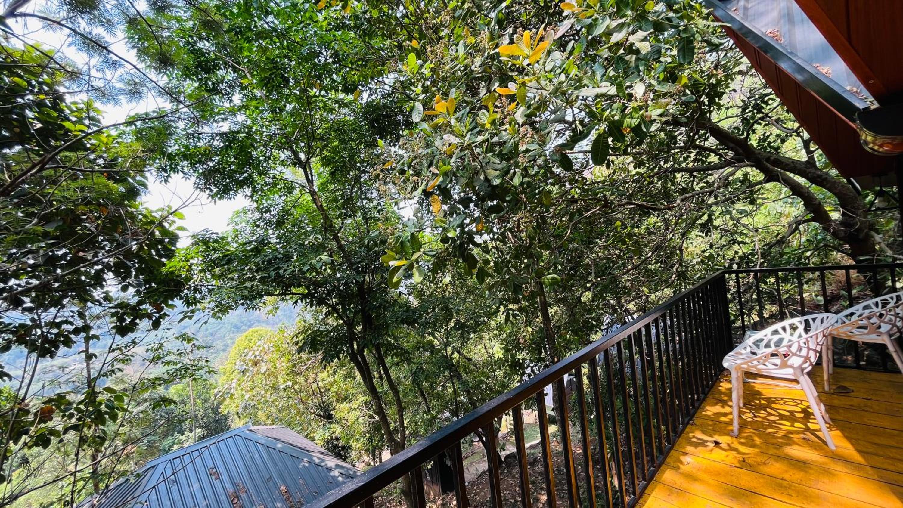 Parudheesa Spices Garden and Inn