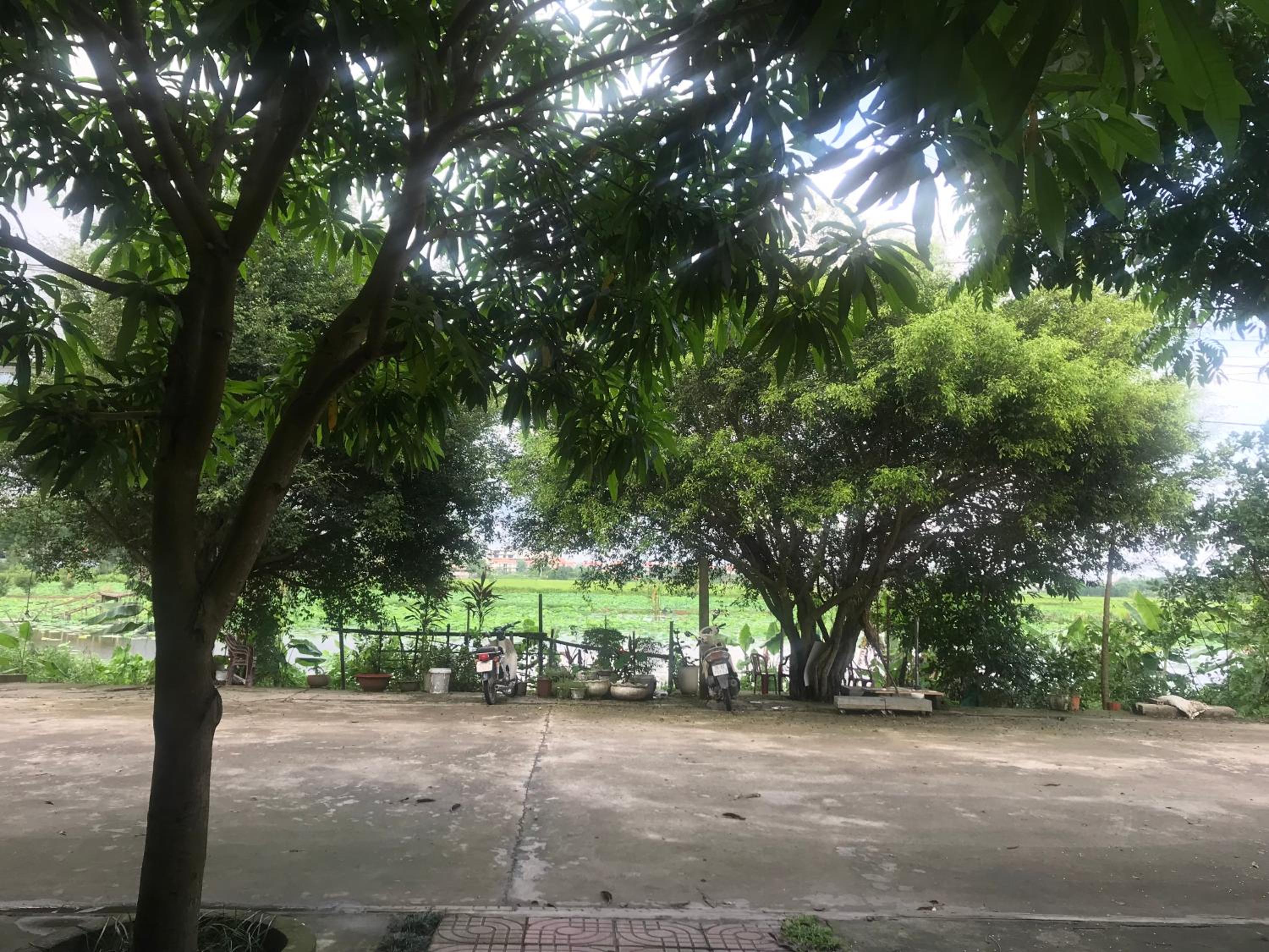 Hải Lê Tam Coc Happy Homestay