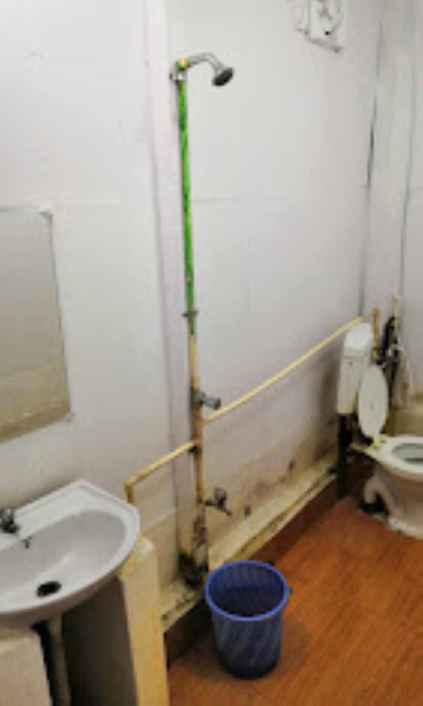 Photo 11