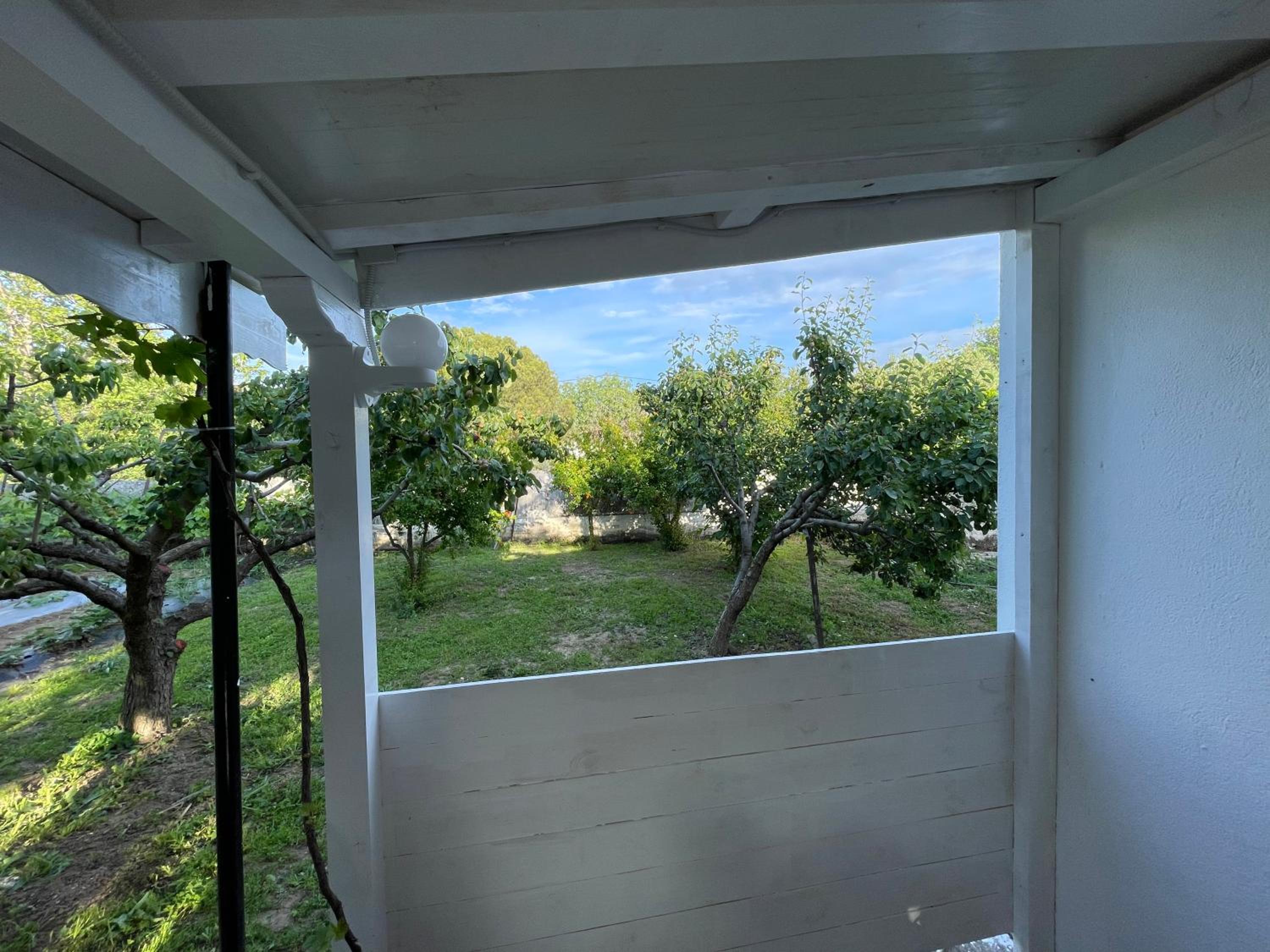 Photo 17