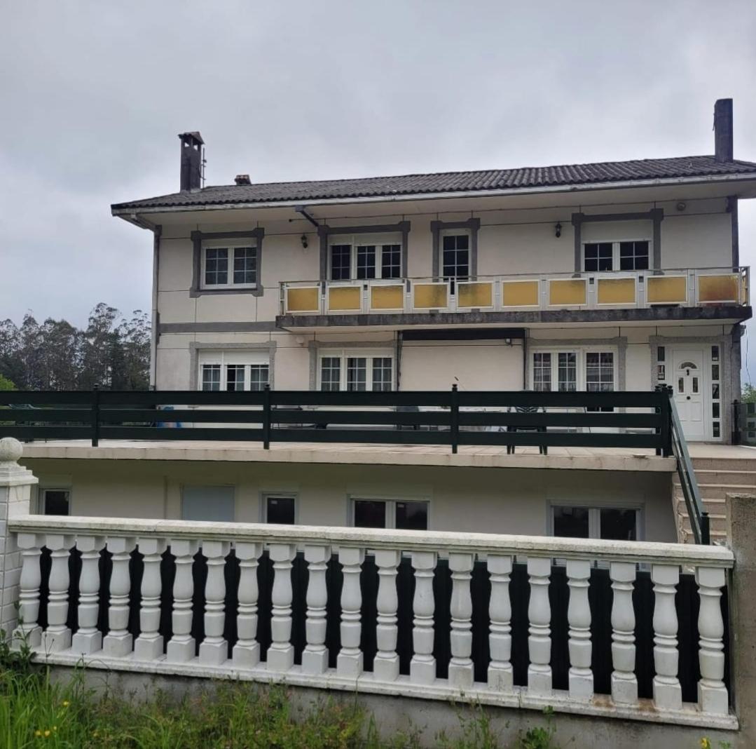 Prado verde