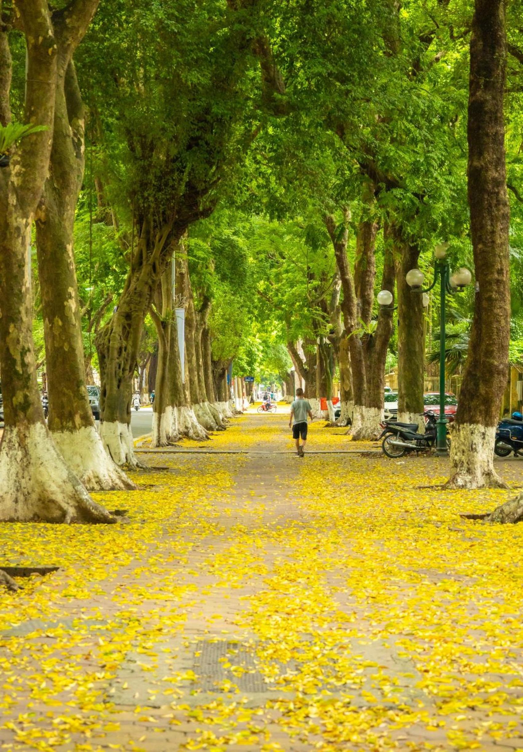Lemon House Ngoc Thuy - Long Bien