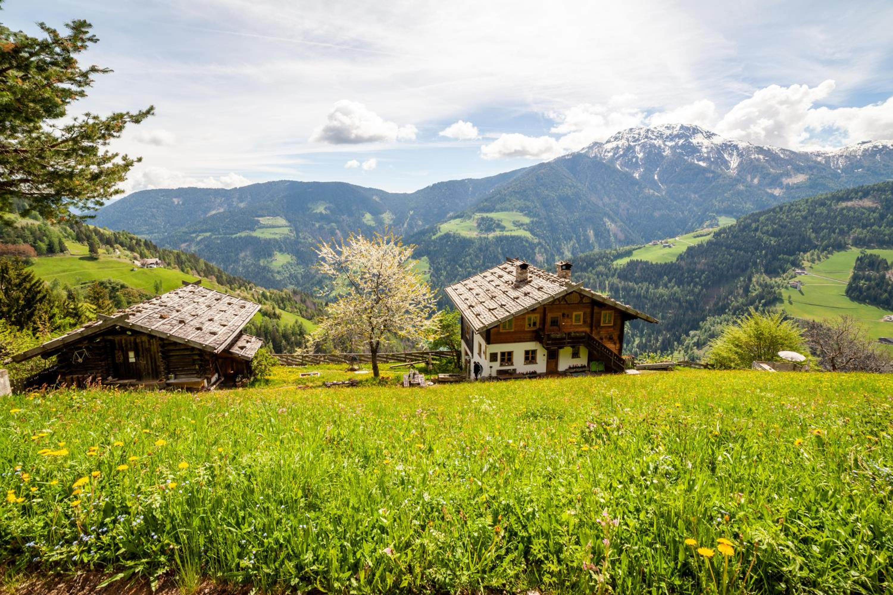 Ferienhaus Rauchegg - Bergblick view 5