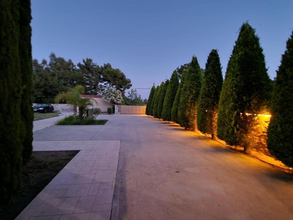 ALFA VILLA