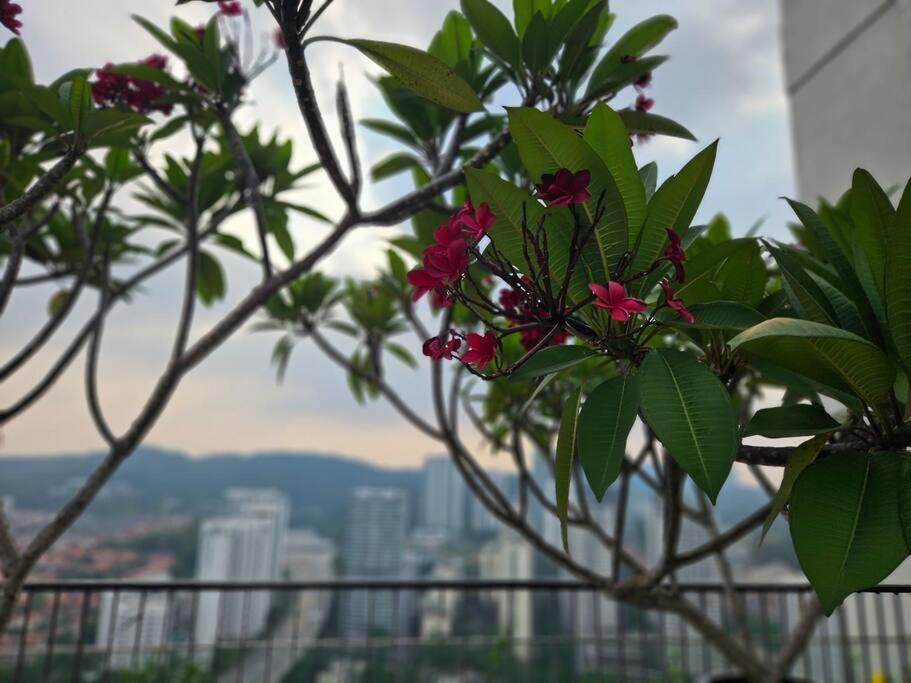 Stylish Oasis at Mont Kiara KL 1 bedroom
