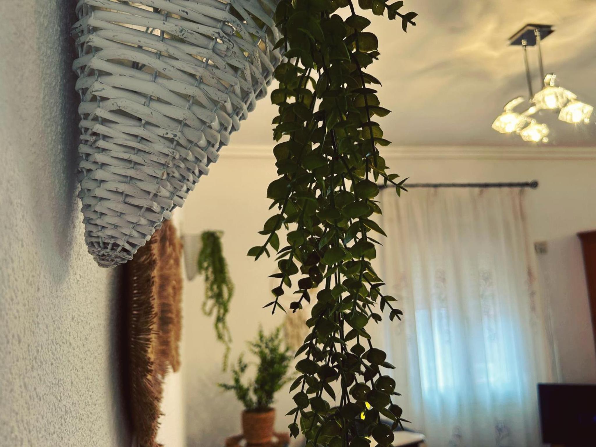 Apartamento La Plaza!