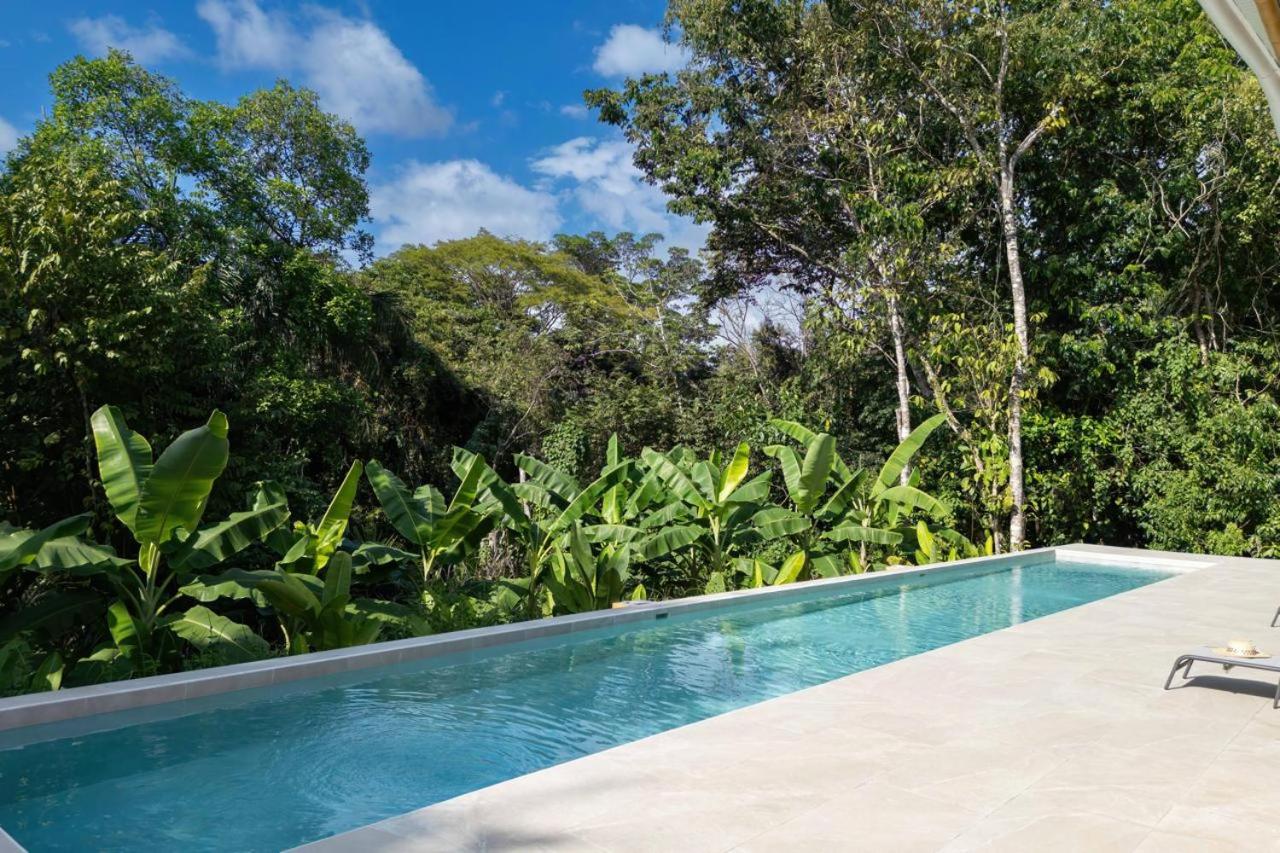 Brand New Villa Bambú with large pool near MA