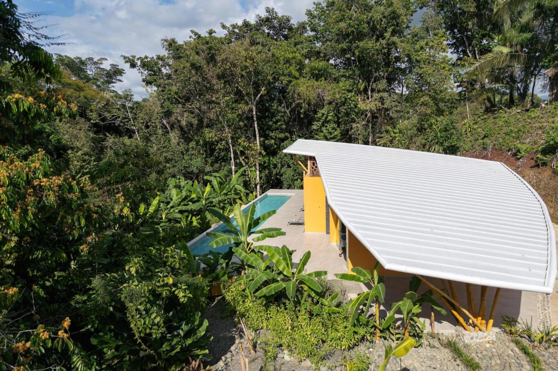 Brand New Villa Bambú with large pool near MA