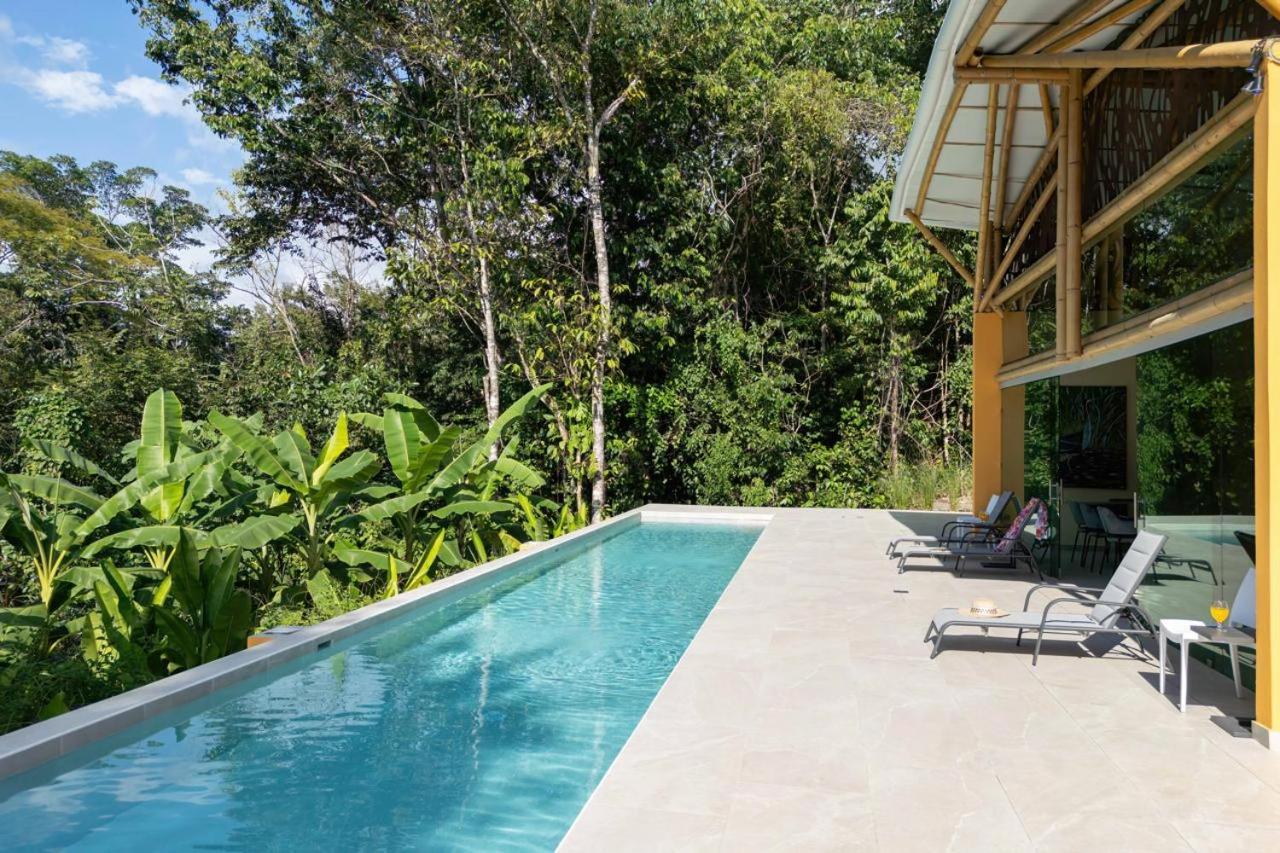 Brand New Villa Bambú with large pool near MA