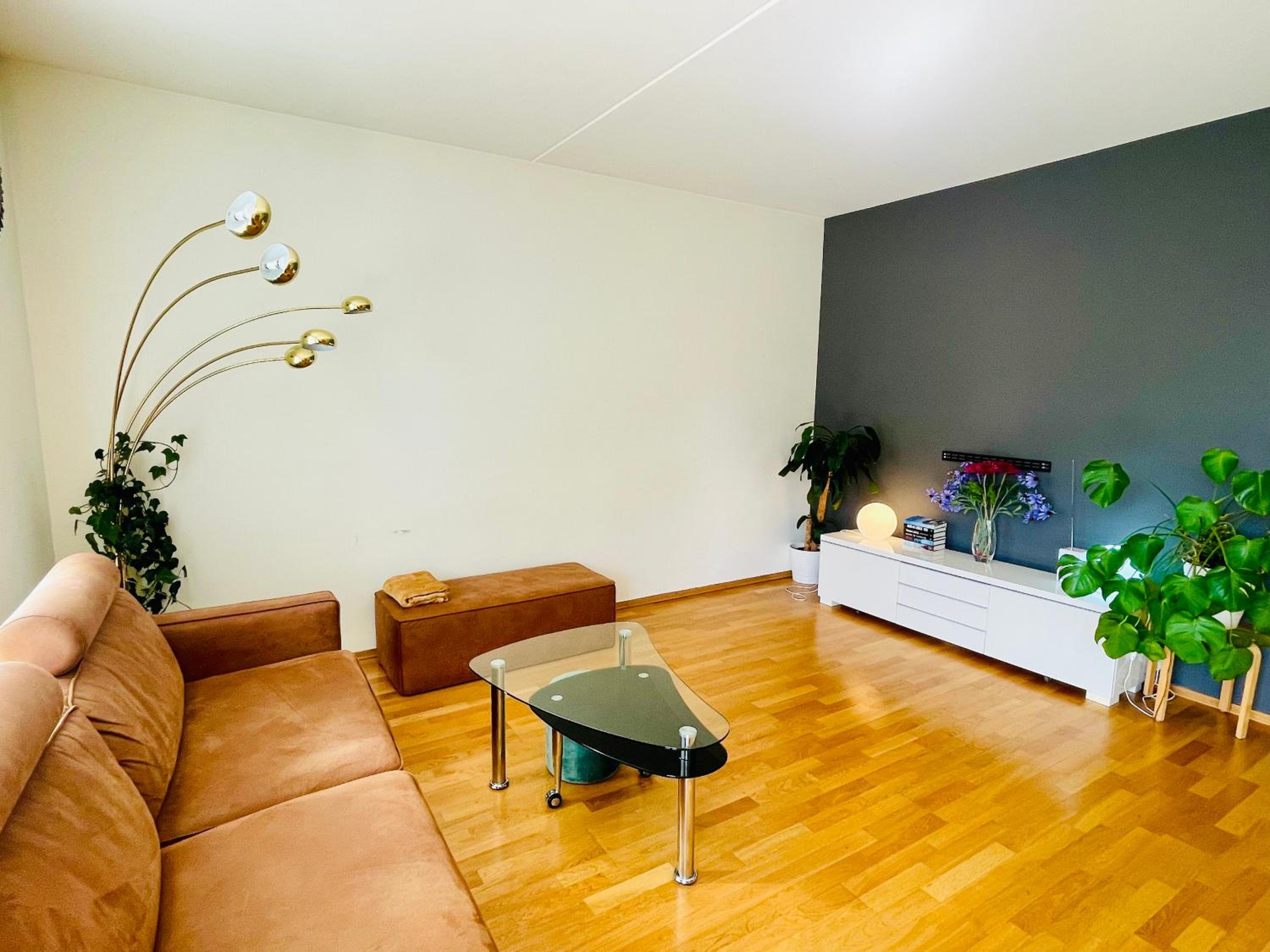 Spacious Modern Apartment view 3
