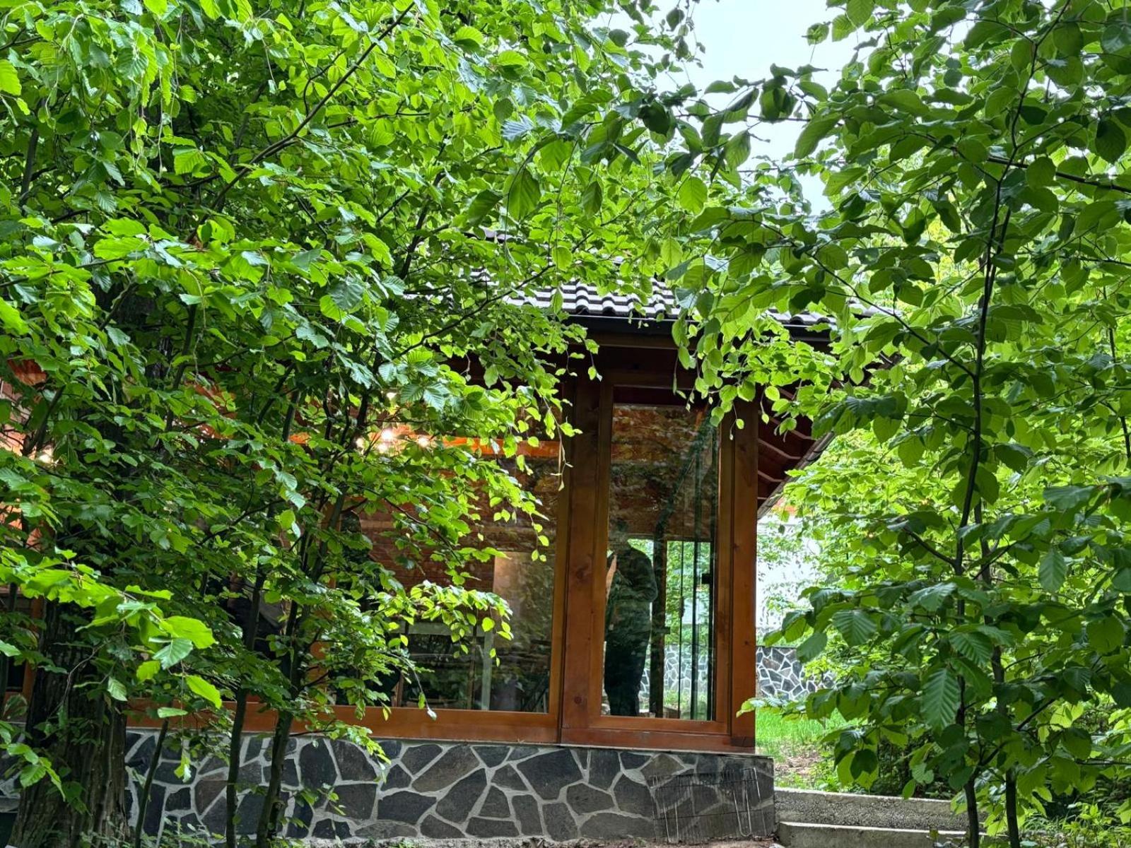 Pintea Chalet view 4