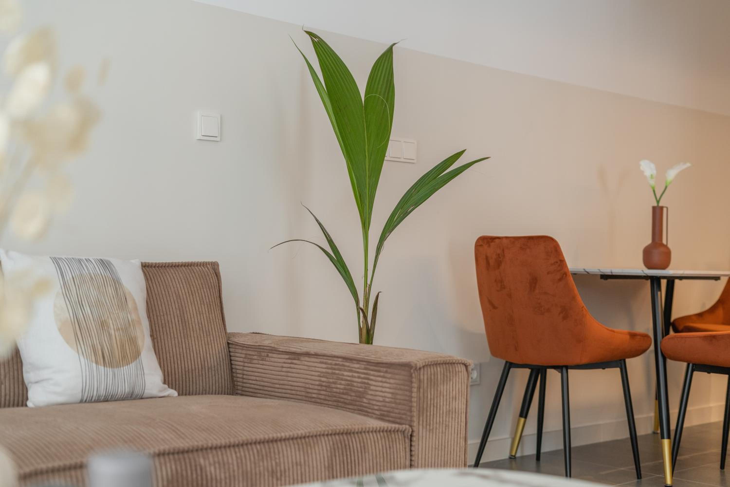 Canillas Apartments photo 2