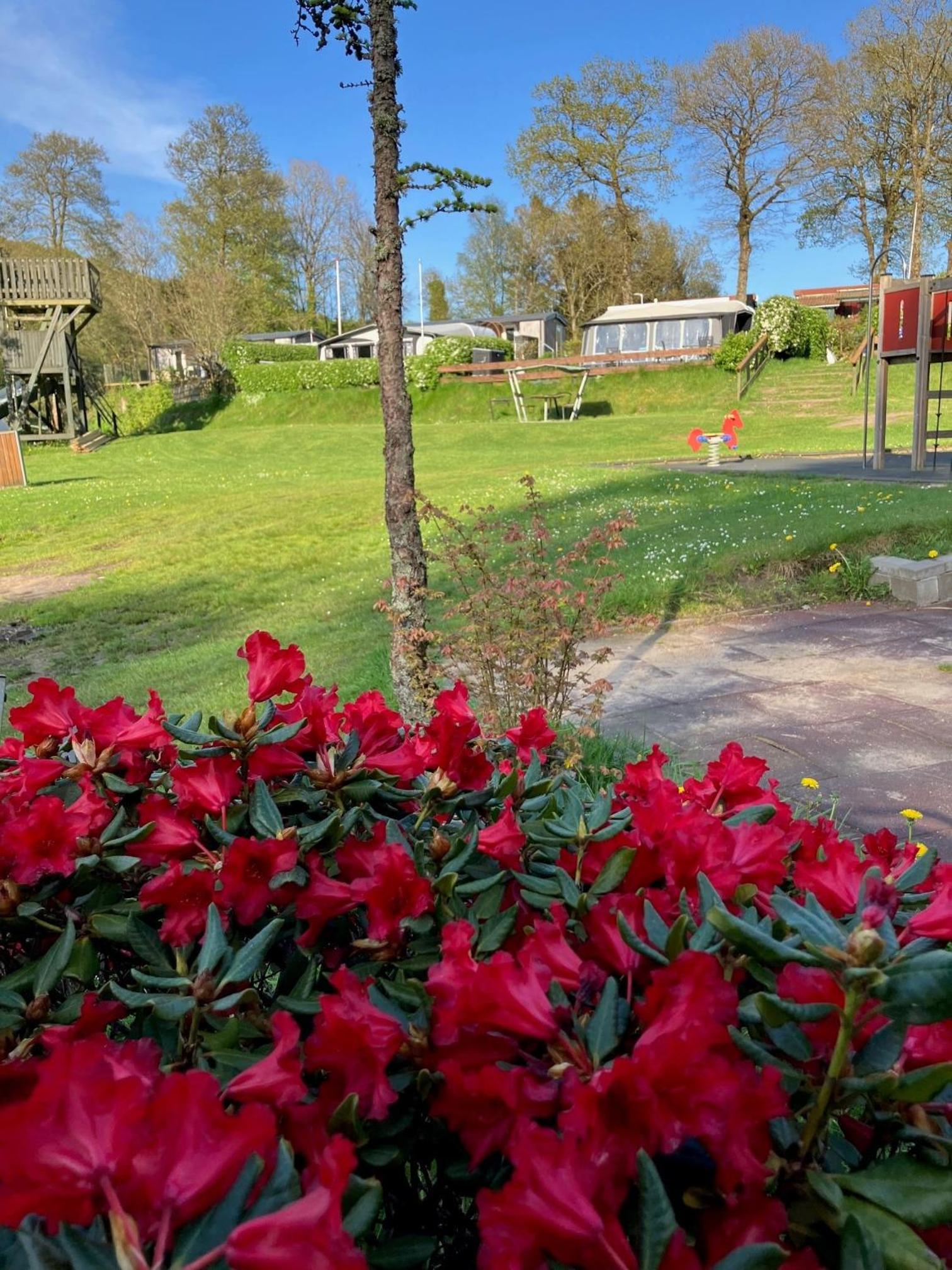 Randbøldal Camping & Cabins