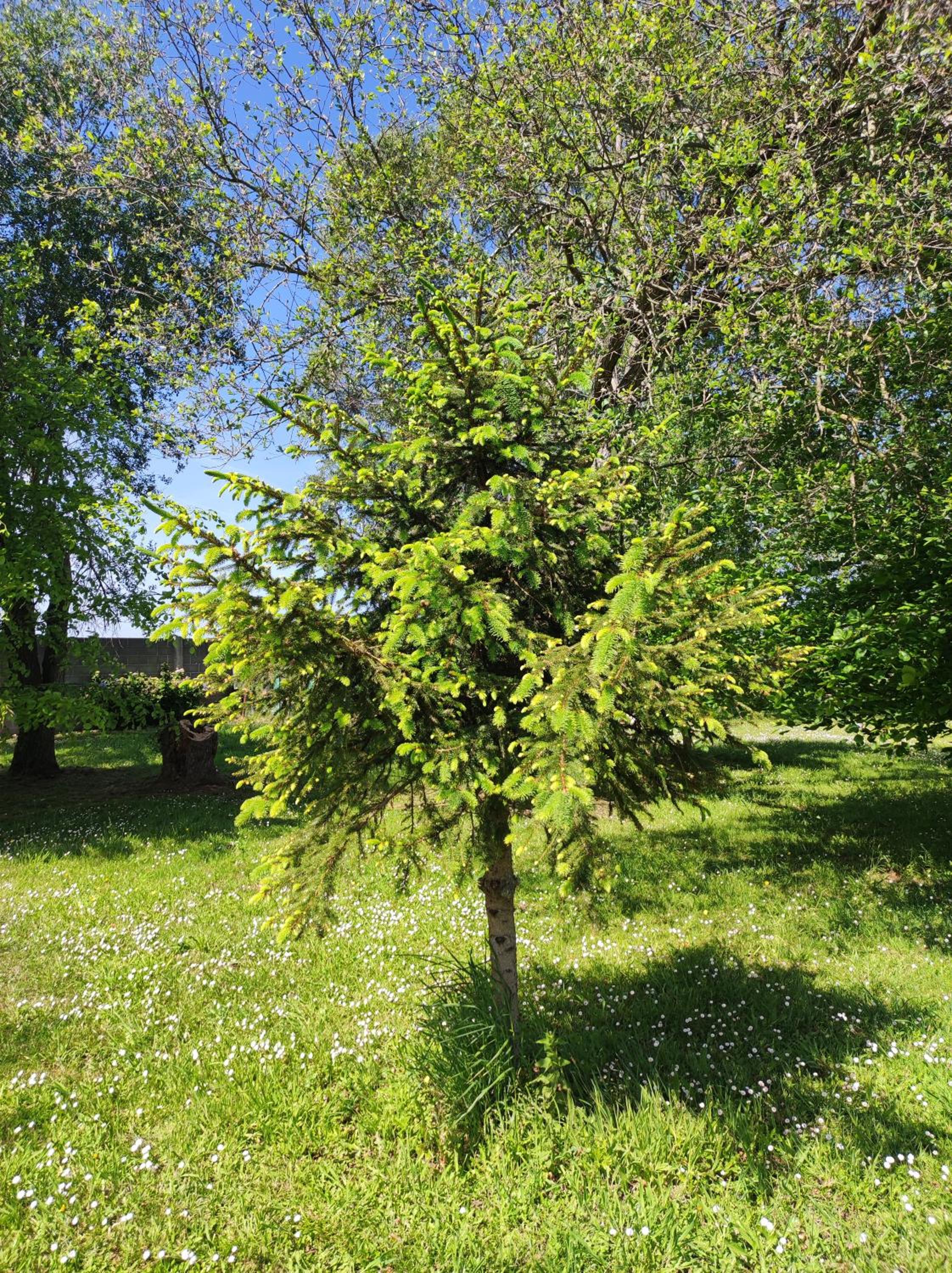 Photo 50