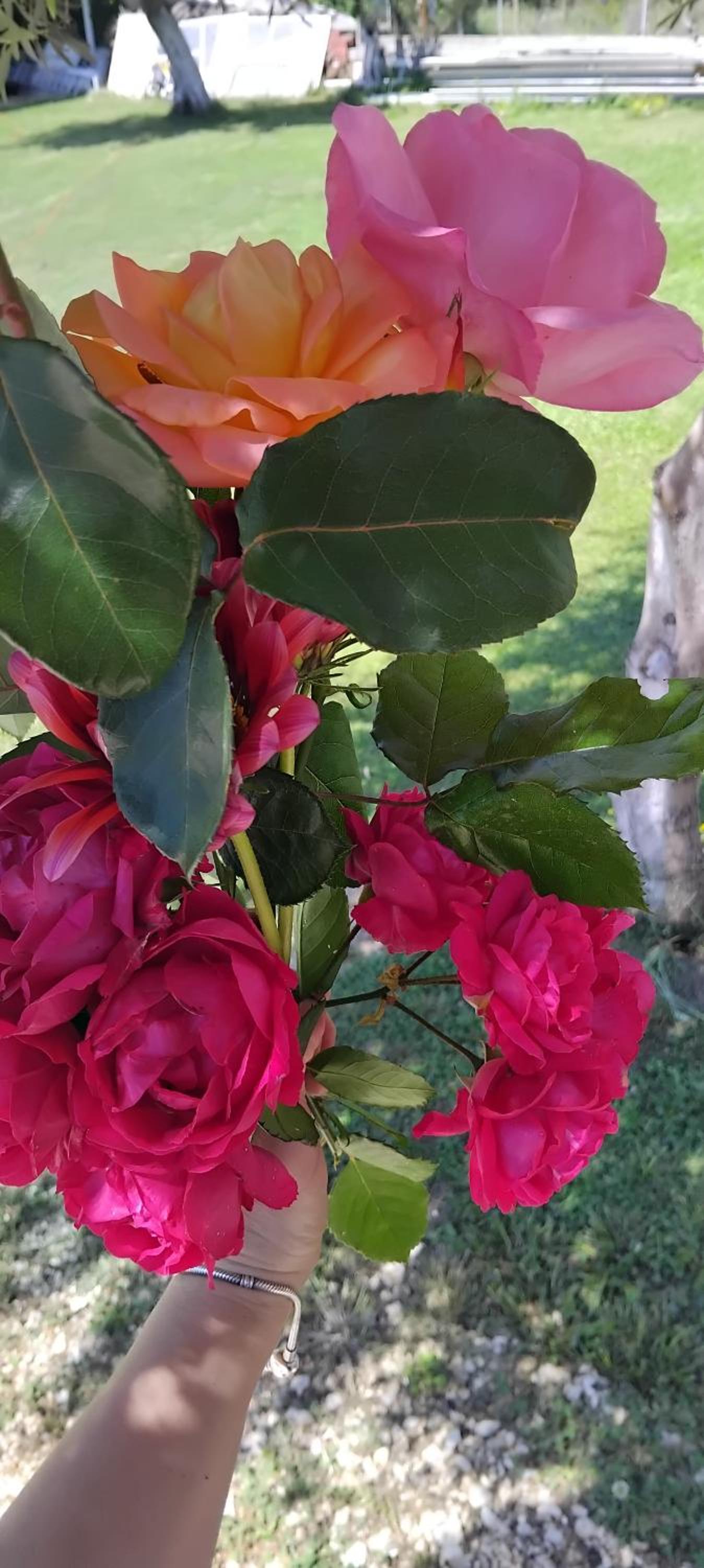 Marios Rooms photo 3