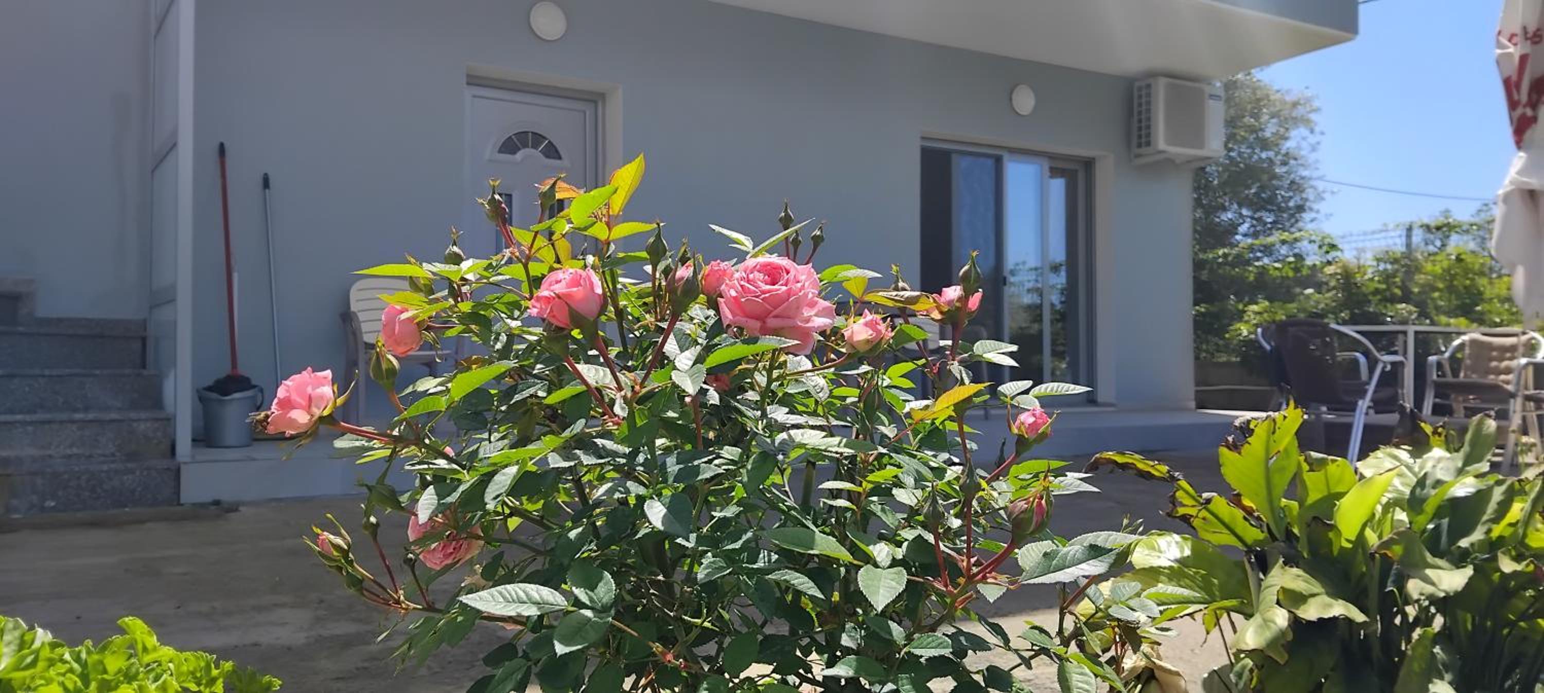 Marios Rooms photo 2