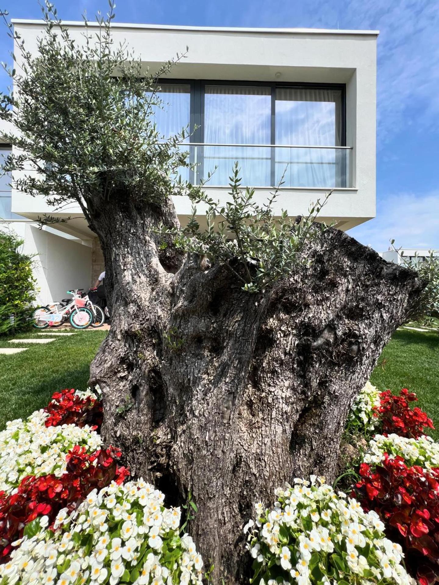 San Pietro Villa 2