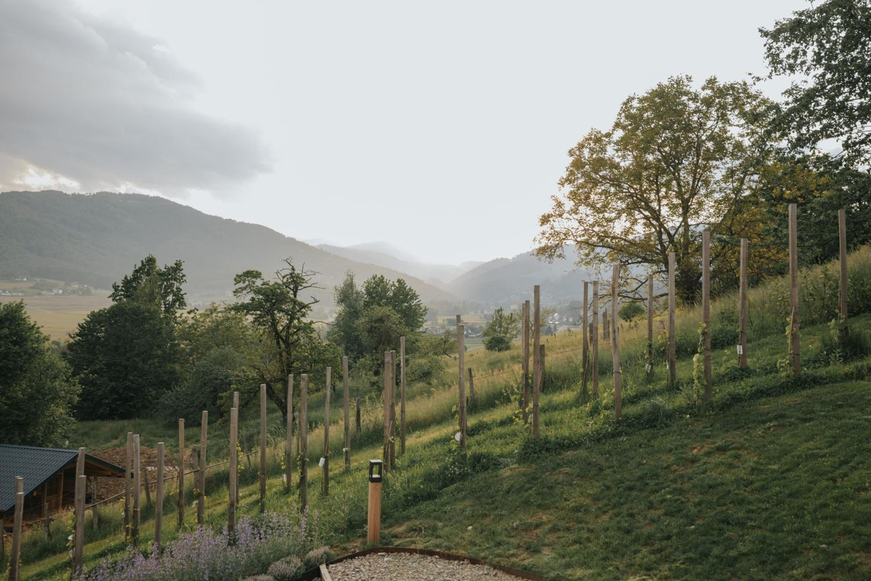 Am Wildbachberg - Luxus Ferienhäuser mit Infinitypool, Privatsauna und Weinkeller