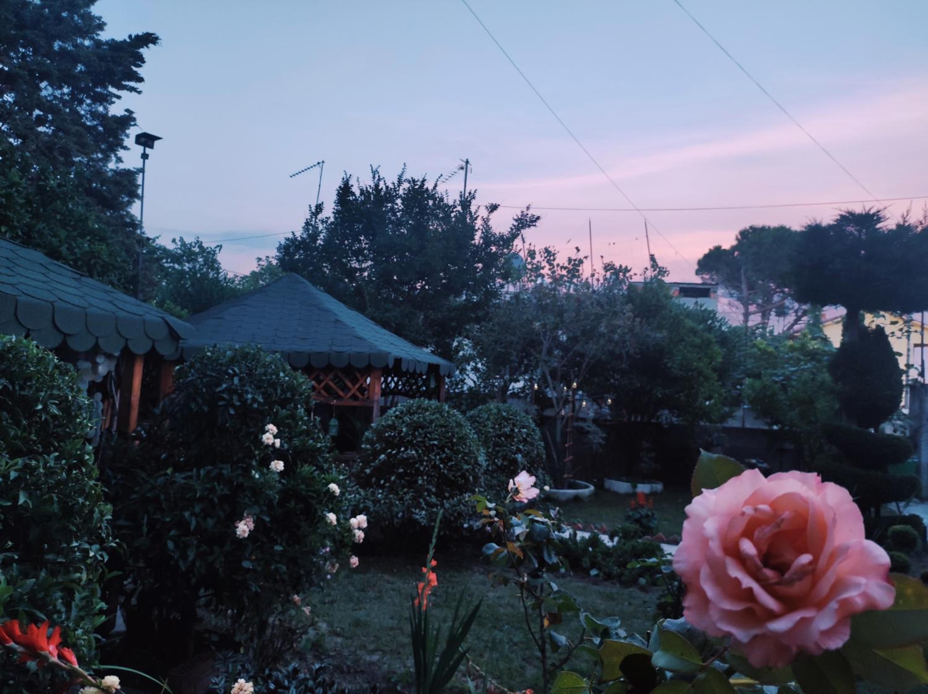 Homestay Beauty Day