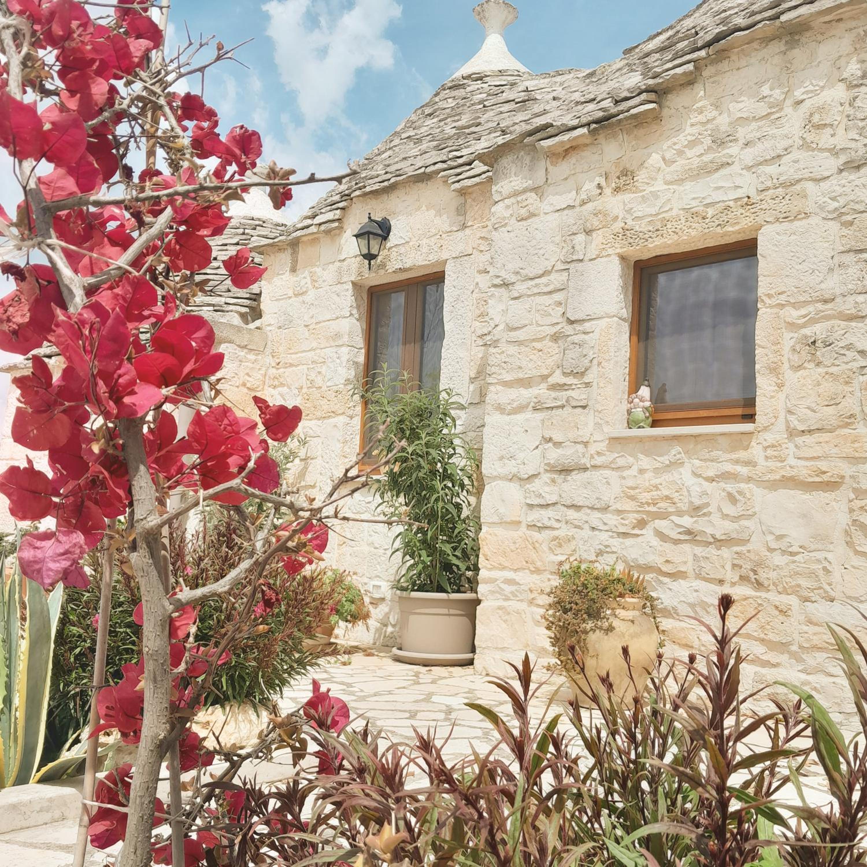 B&B La Rosa dei Trulli Alberobello