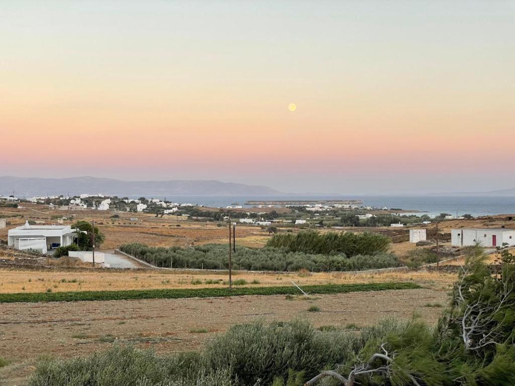 antilio