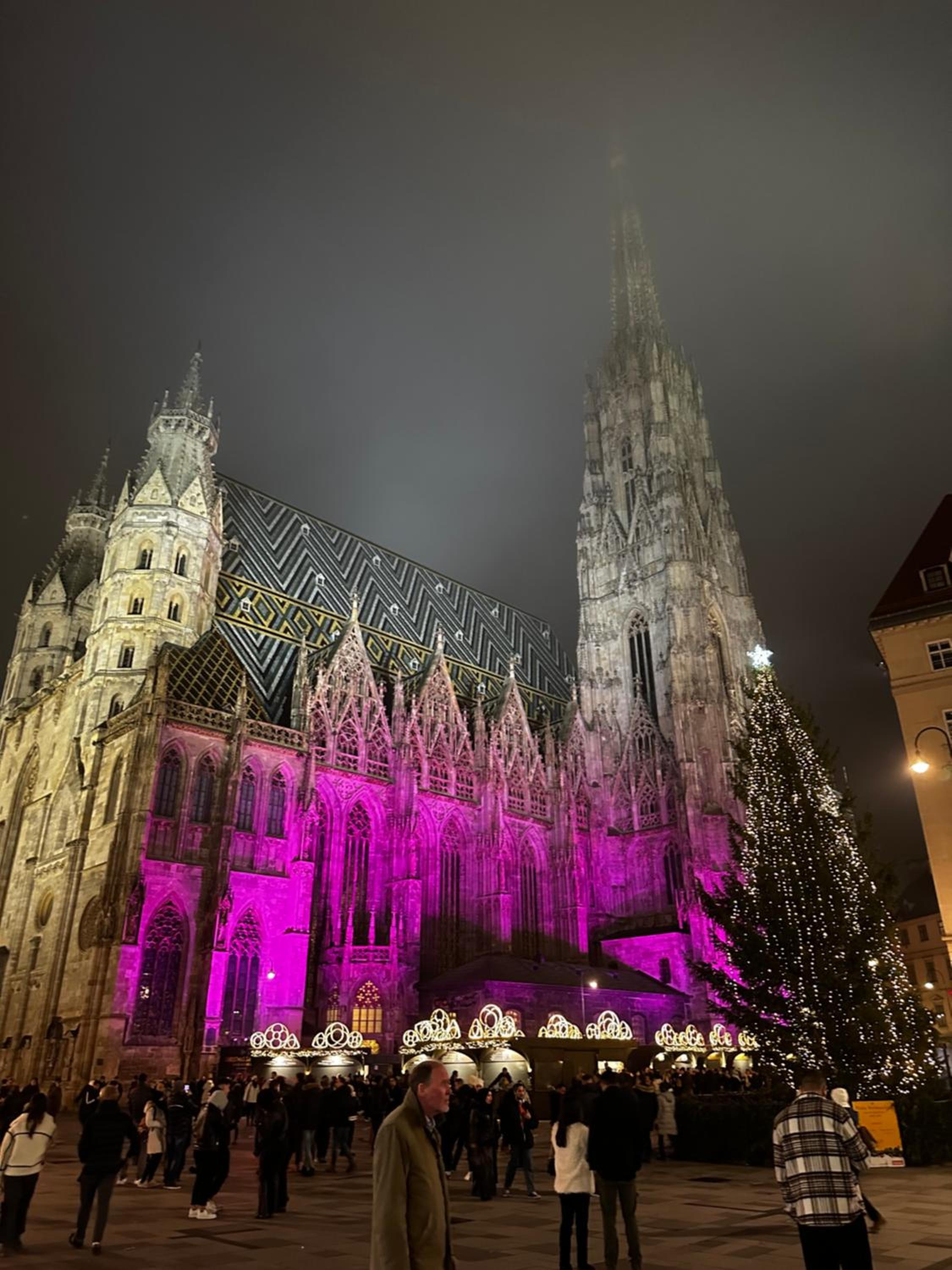 Modern Studio in the Heart of Vienna - Steps from the Opera