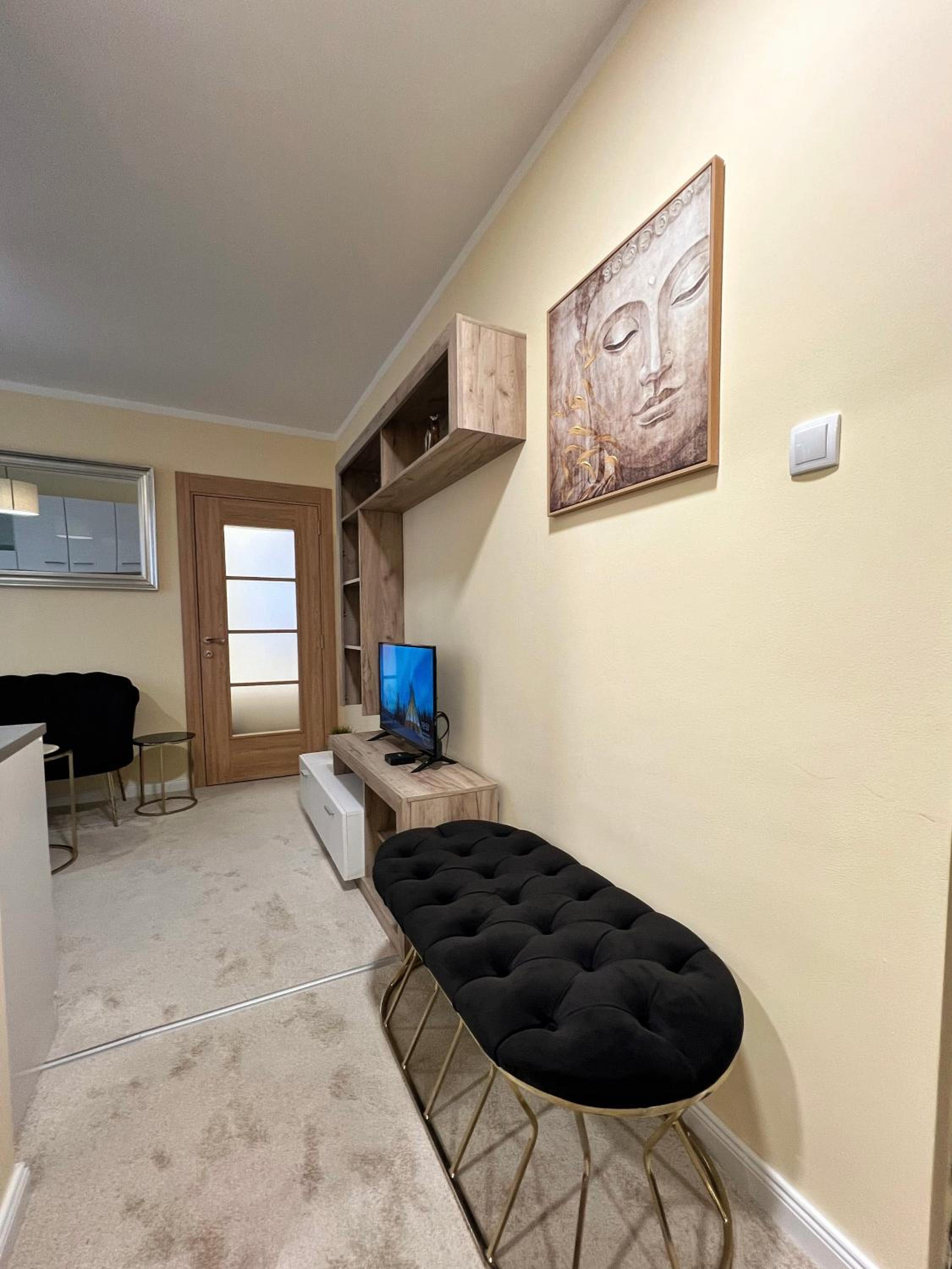 M&M Apartment Stefan Nemanja view 5