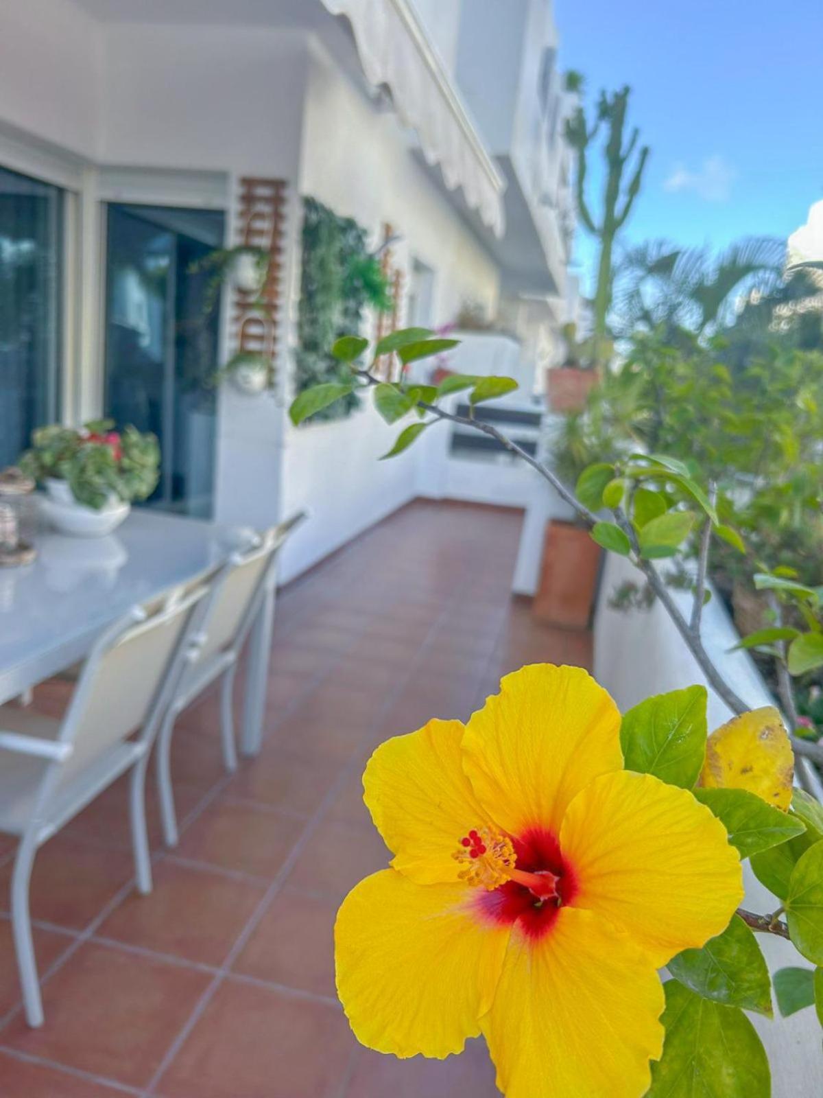 Apartamento Golf Valle Romano